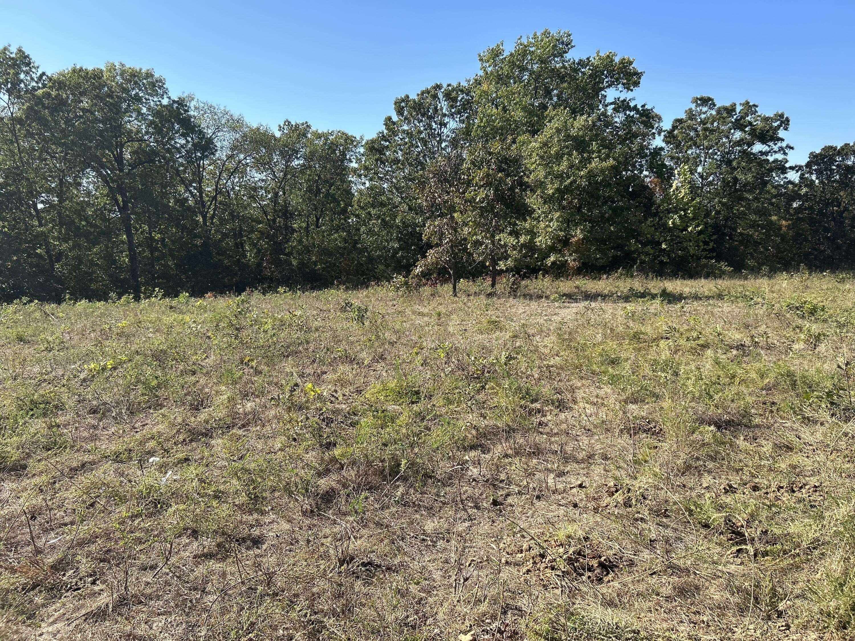 Mack's Creek, MO 65786,1810 West Branch