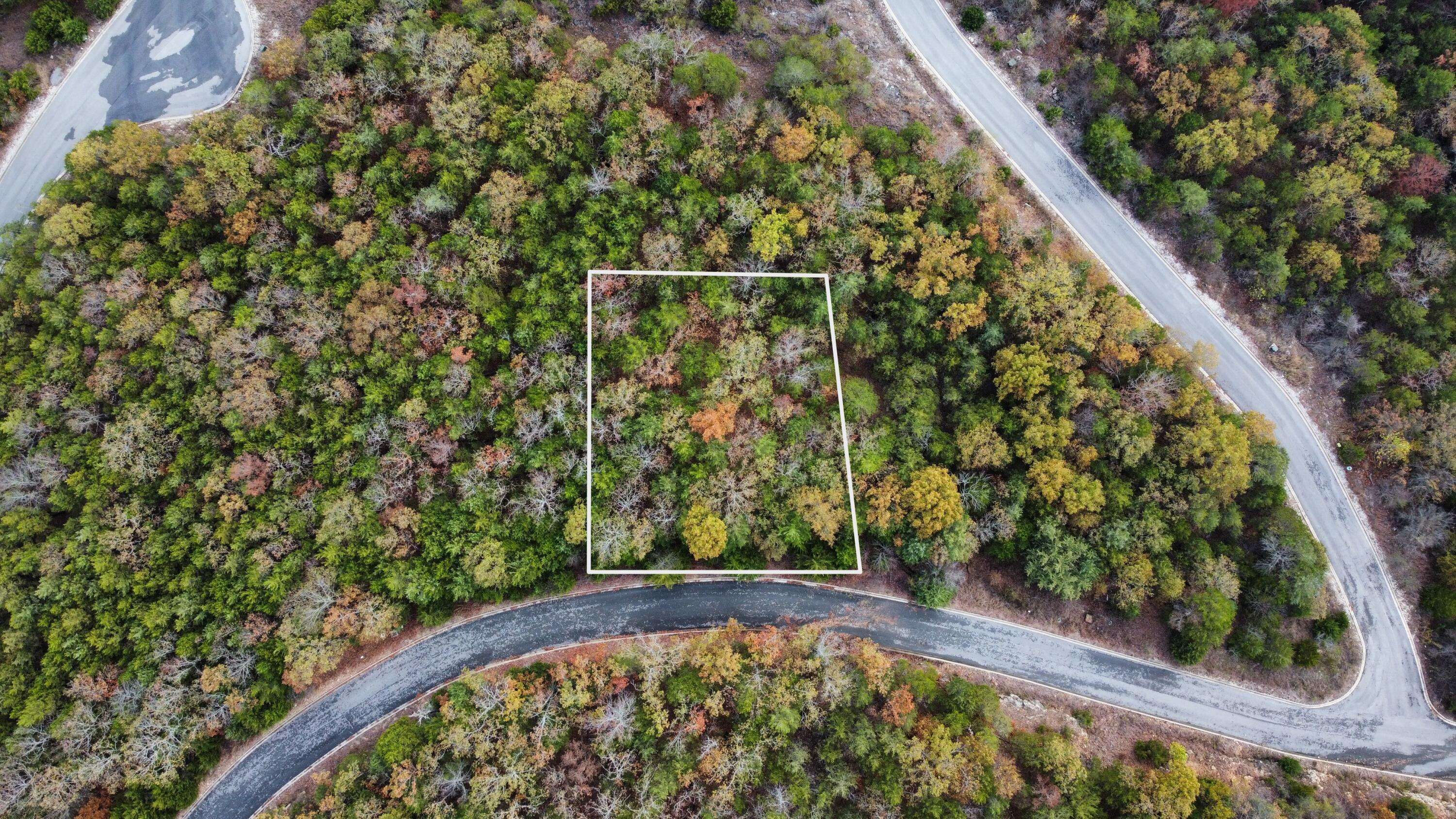 Hollister, MO 65672,000 Samara Drive Lot 293 DR