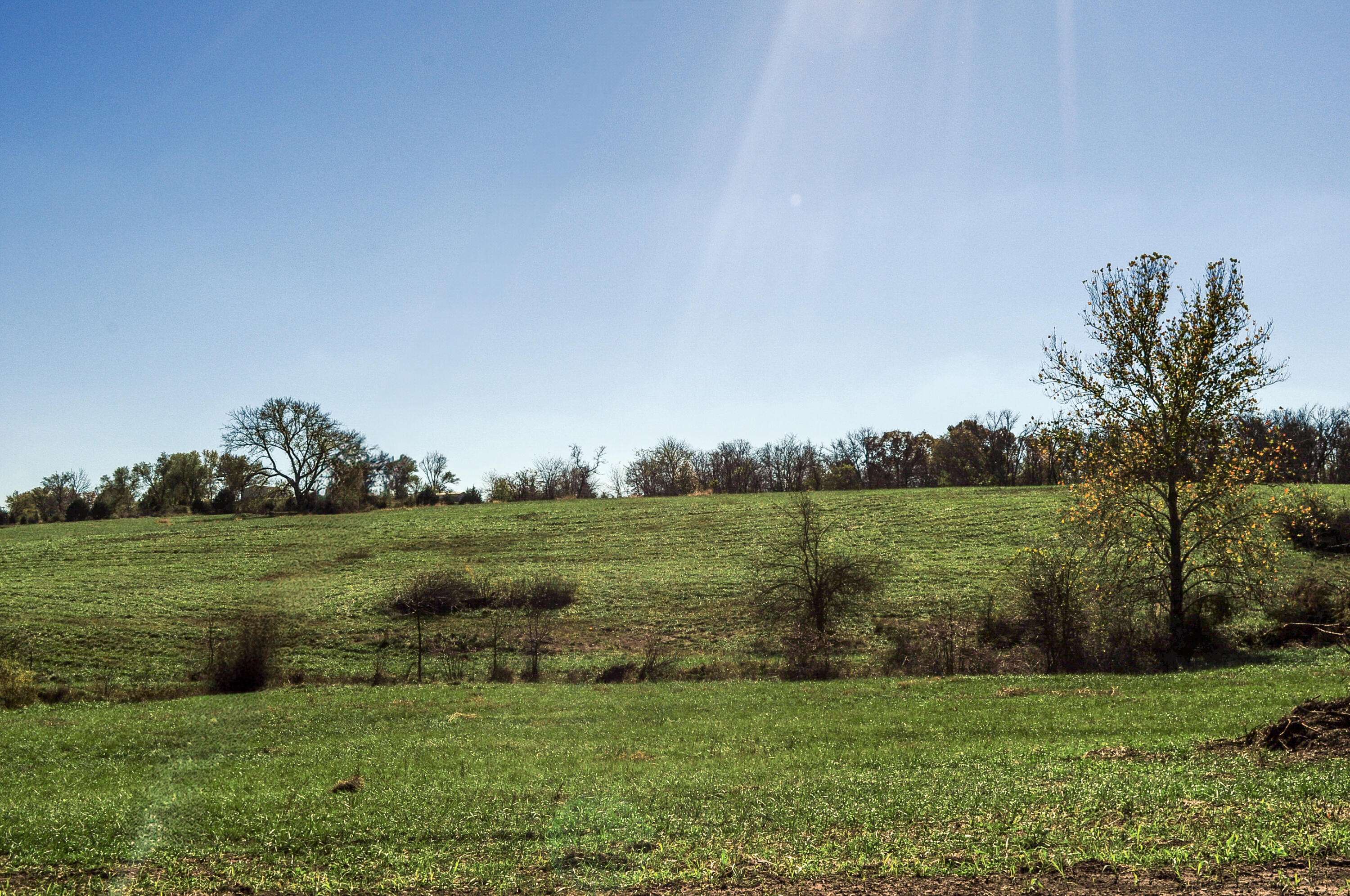 Fair Play, MO 65649,Tract 5 East 425th Road