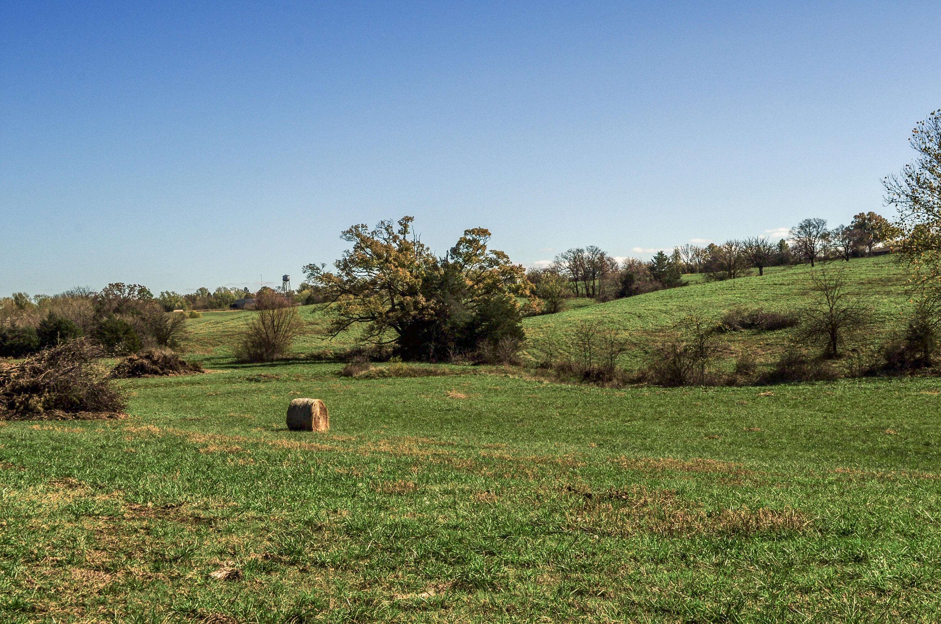 Fair Play, MO 65649,Tract 6 East 425th Road