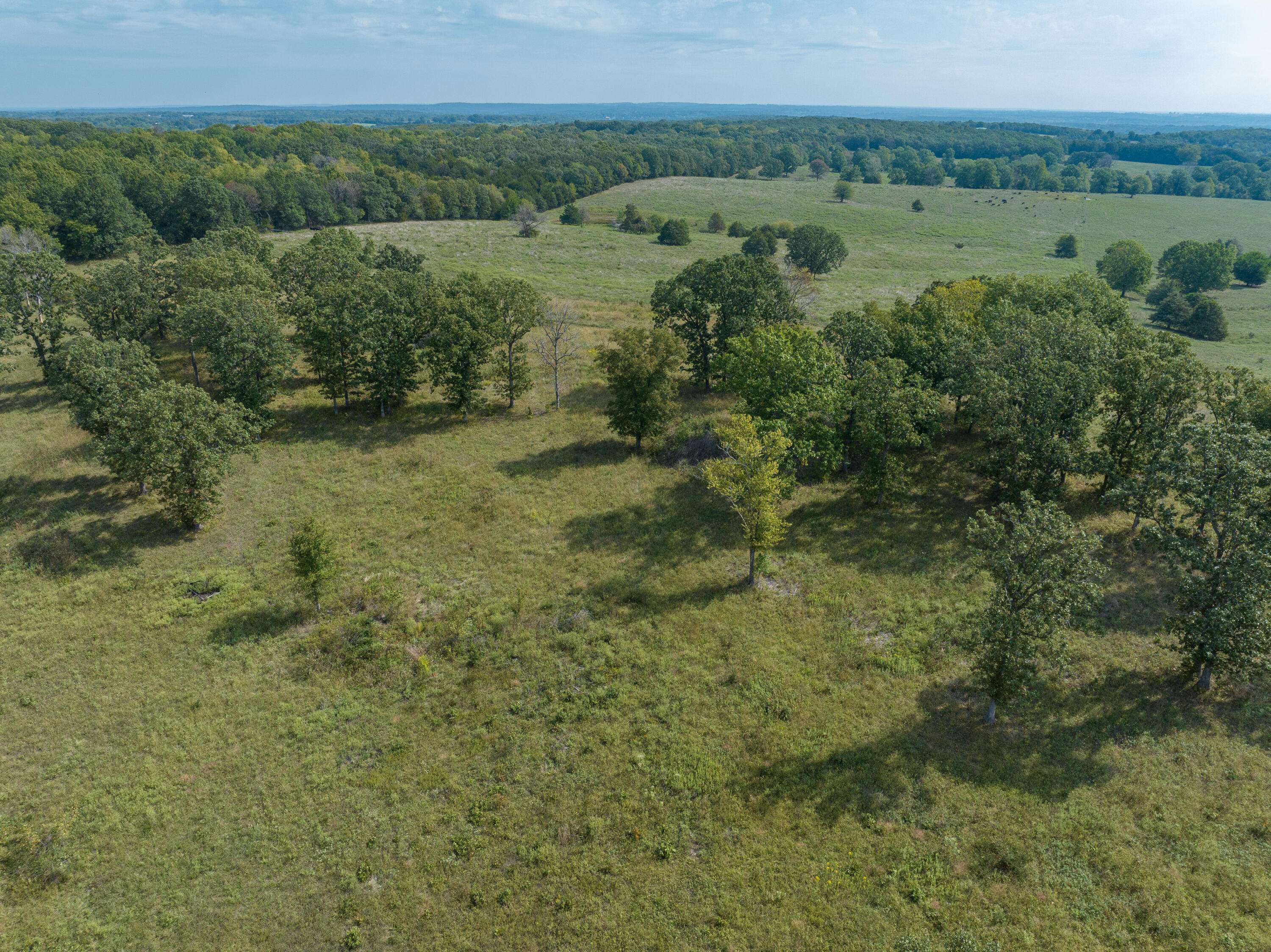 Flemington, MO 65650,000 E 318th RD