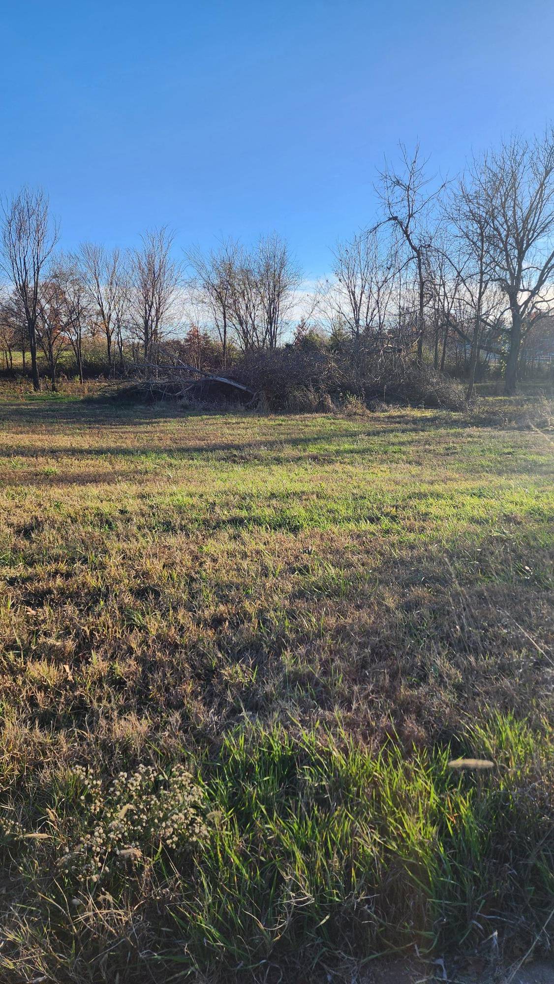 Monett, MO 65708,Lot 4 Wellington