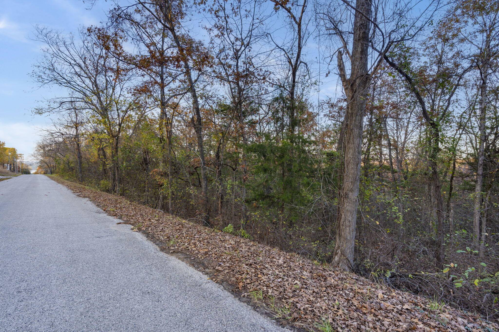 Hollister, MO 65672,24 & 25 Lakeview DR