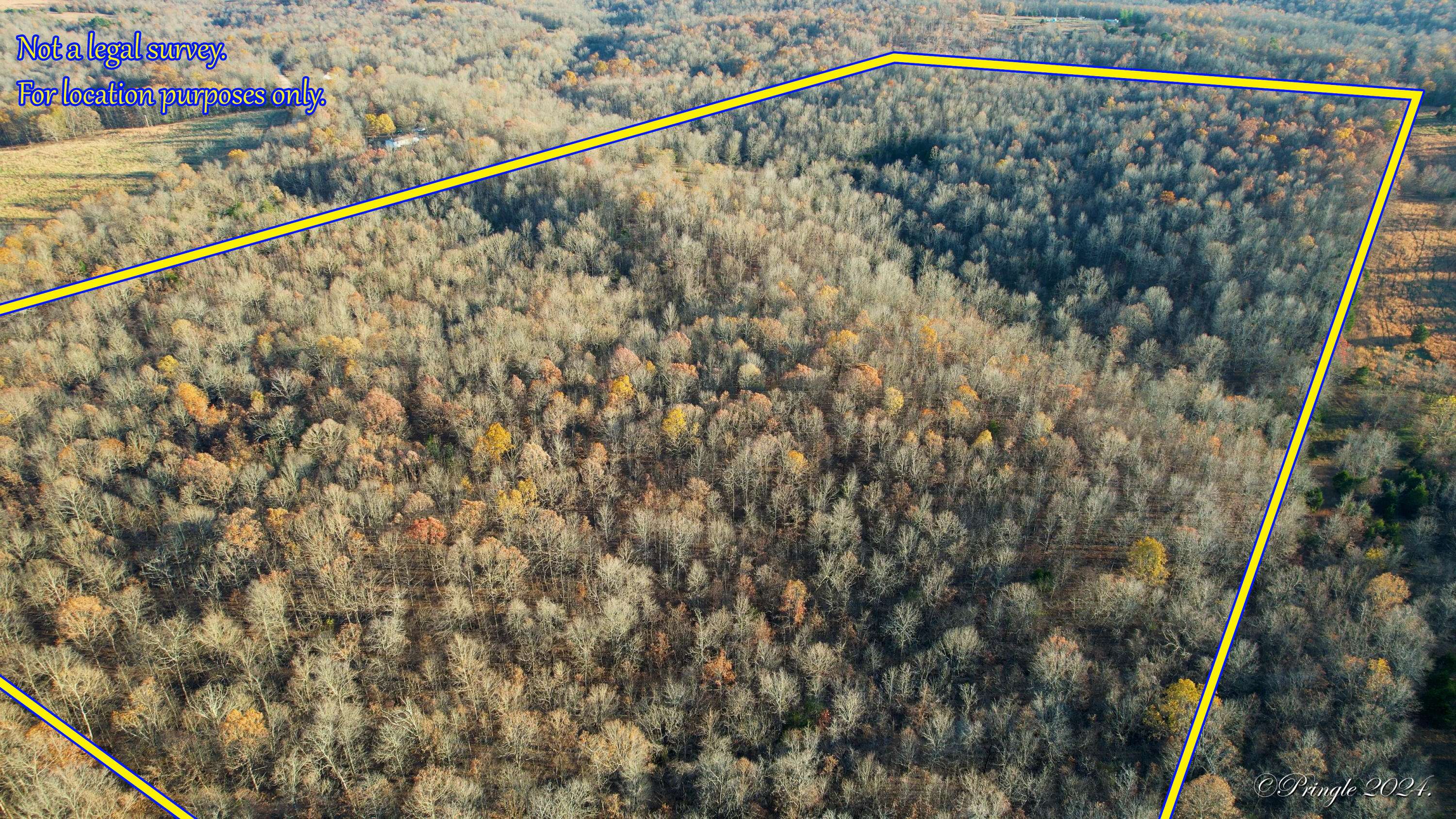 Thayer, MO 65791,000 County Rd 219