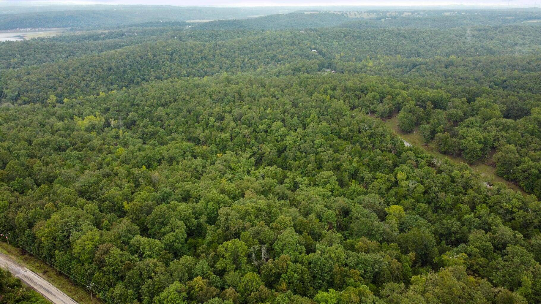 Theodosia, MO 65761,000 Parkview Dr, Holiday Hills