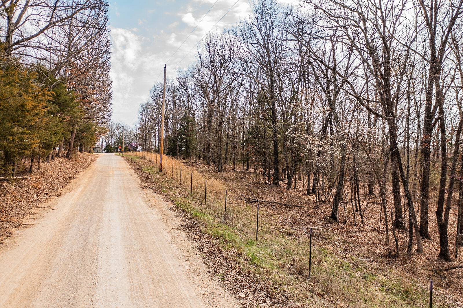 Long Lane, MO 65590,000 Earnestville RD