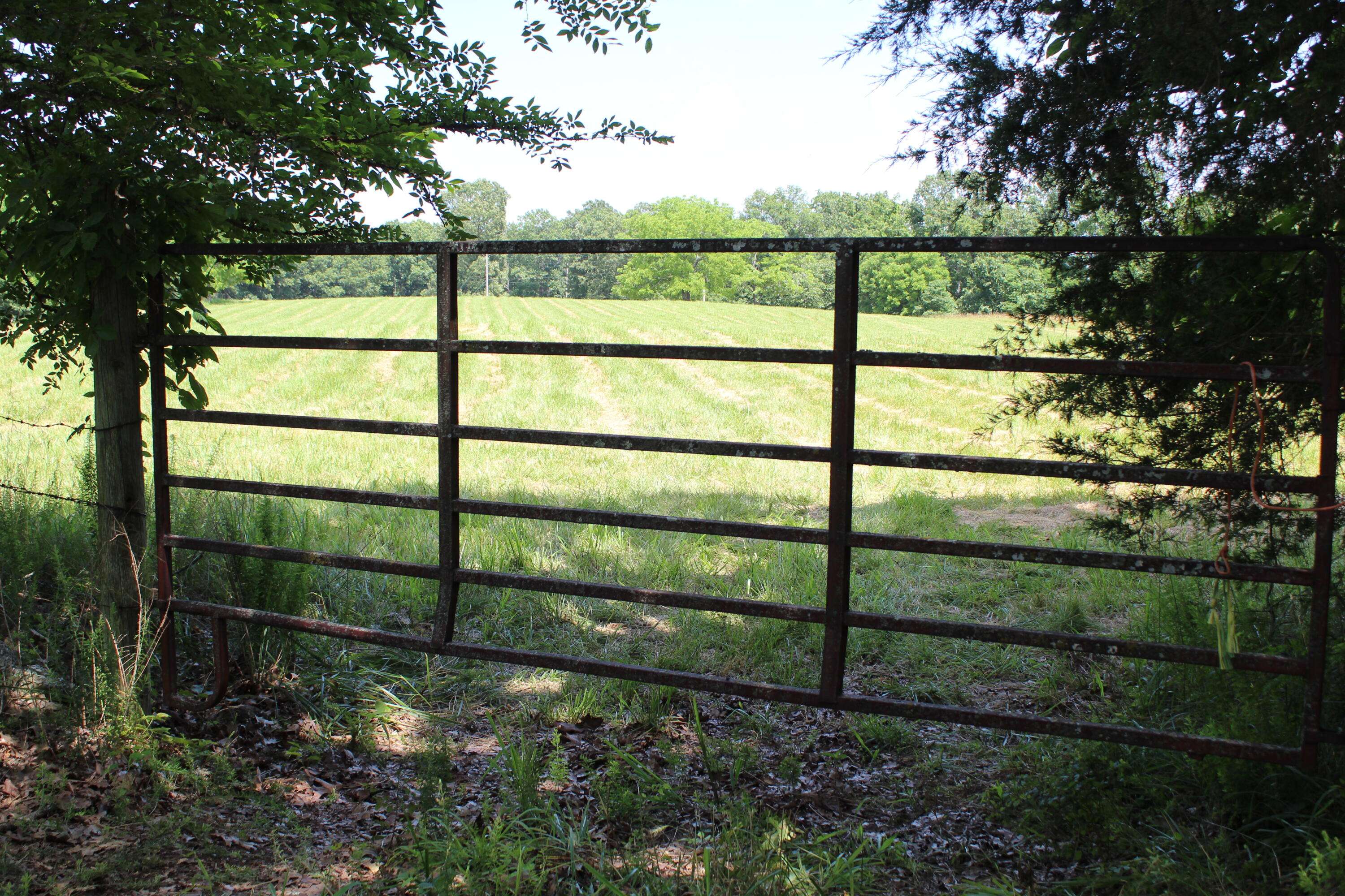 Gainesville, MO 65655,000 Cr 543