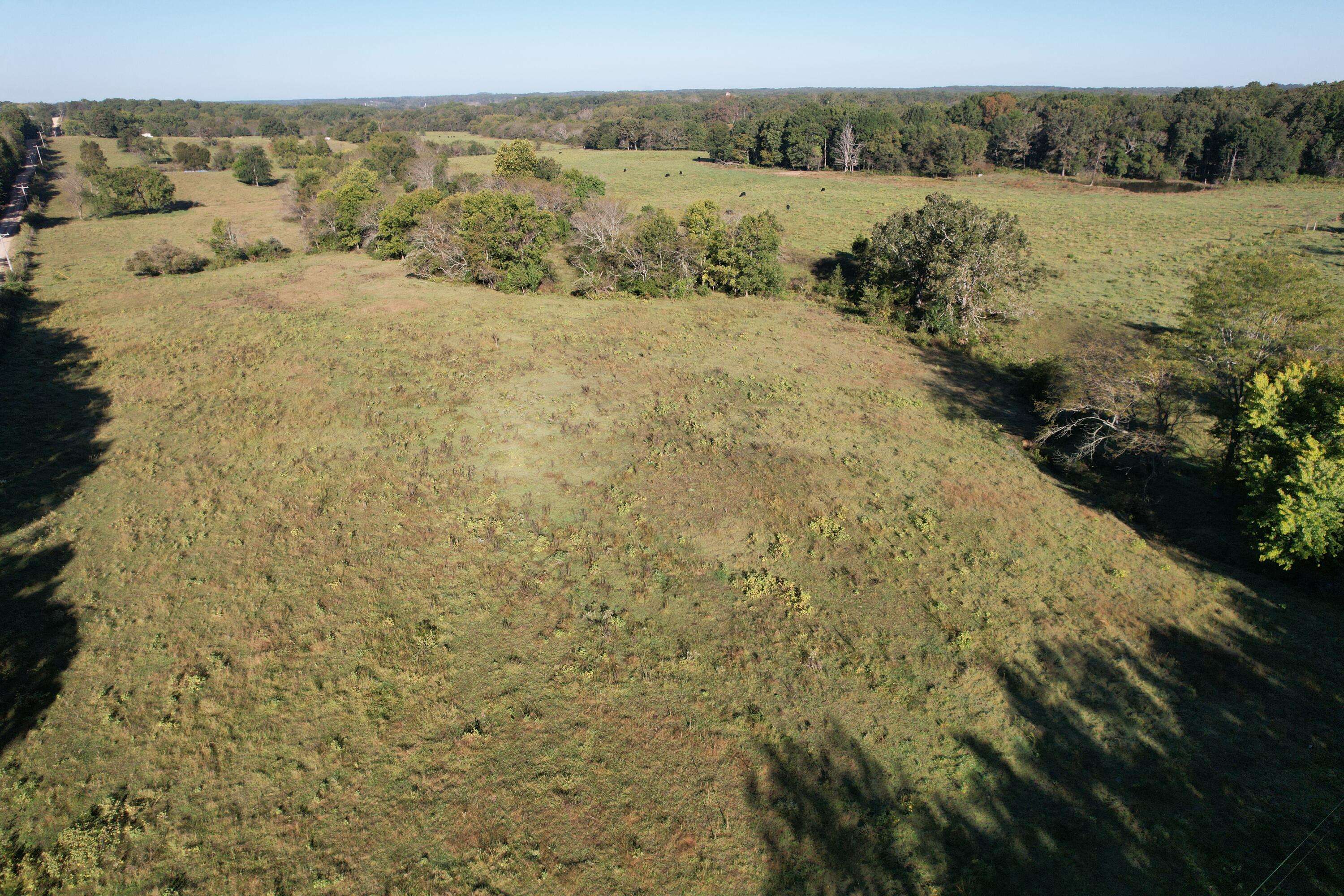 West Plains, MO 65775,Tbd County Road 4220