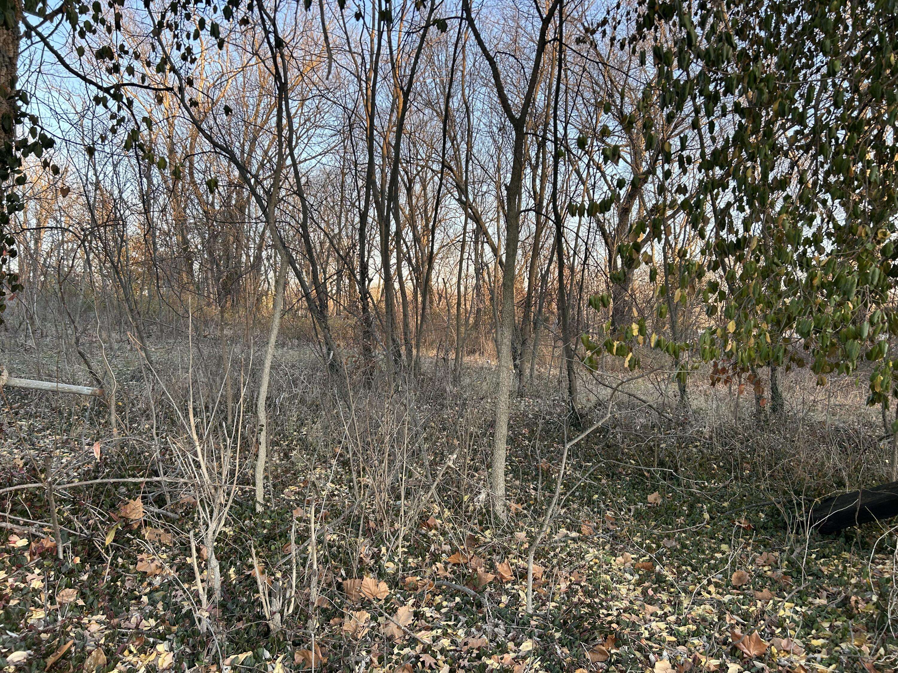 Oronogo, MO 64855,Tbd S 4th