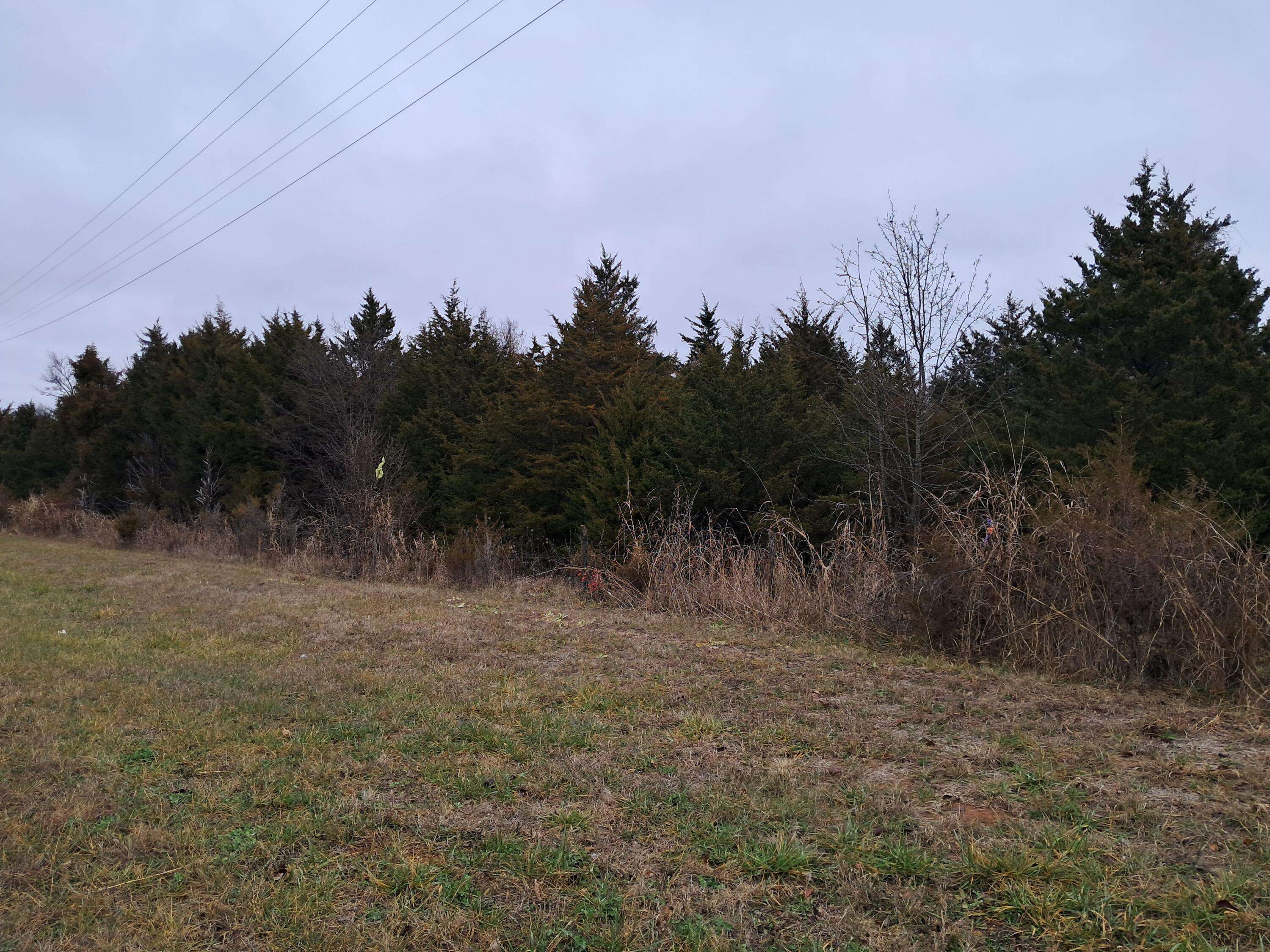 Fair Grove, MO 65648,000 Red Top RD