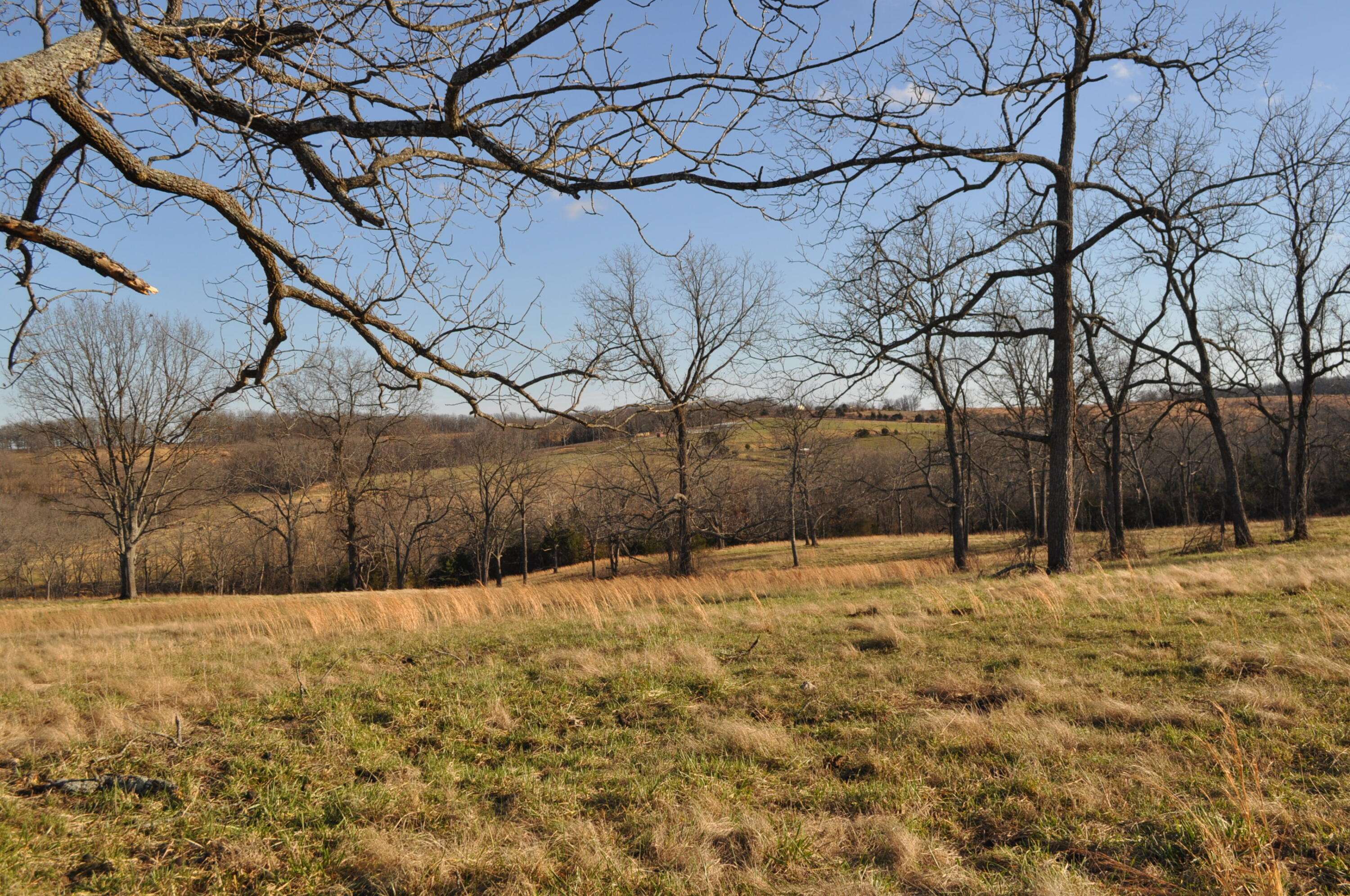 Mountain Grove, MO 65711,000 Highway Ff