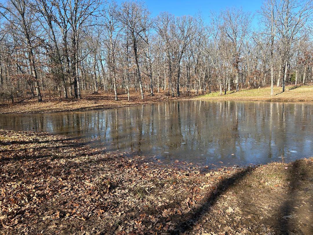 Dadeville, MO 65635,000 N Missouri State Highway 215