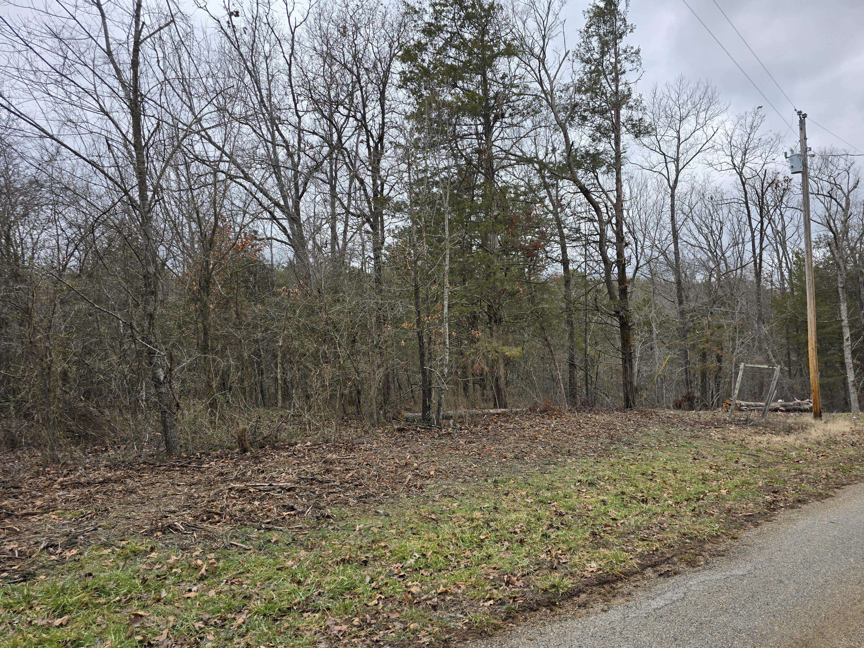 Golden, MO 65658,000 Farm Road 1245