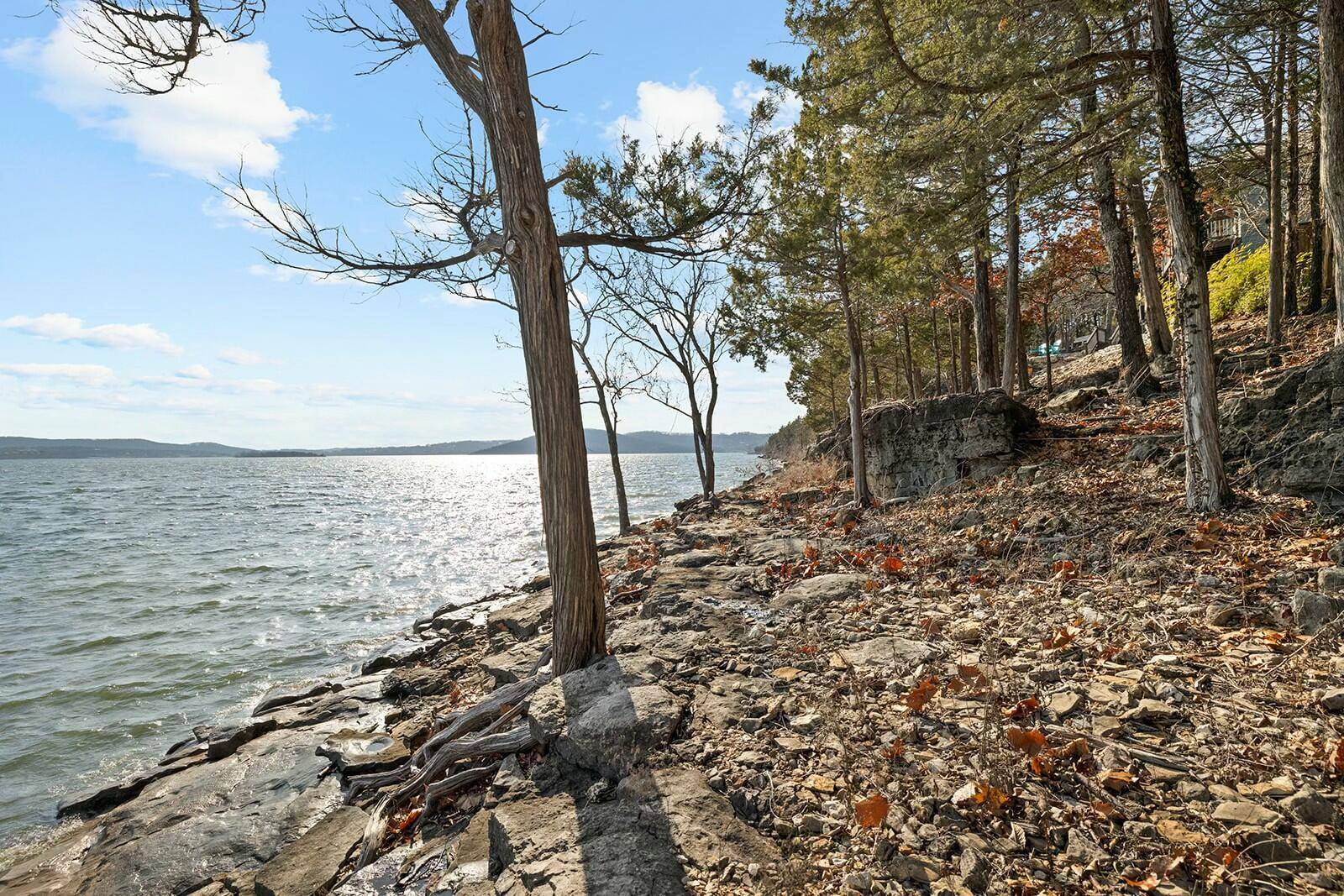Hollister, MO 65672,317 Scenic DR