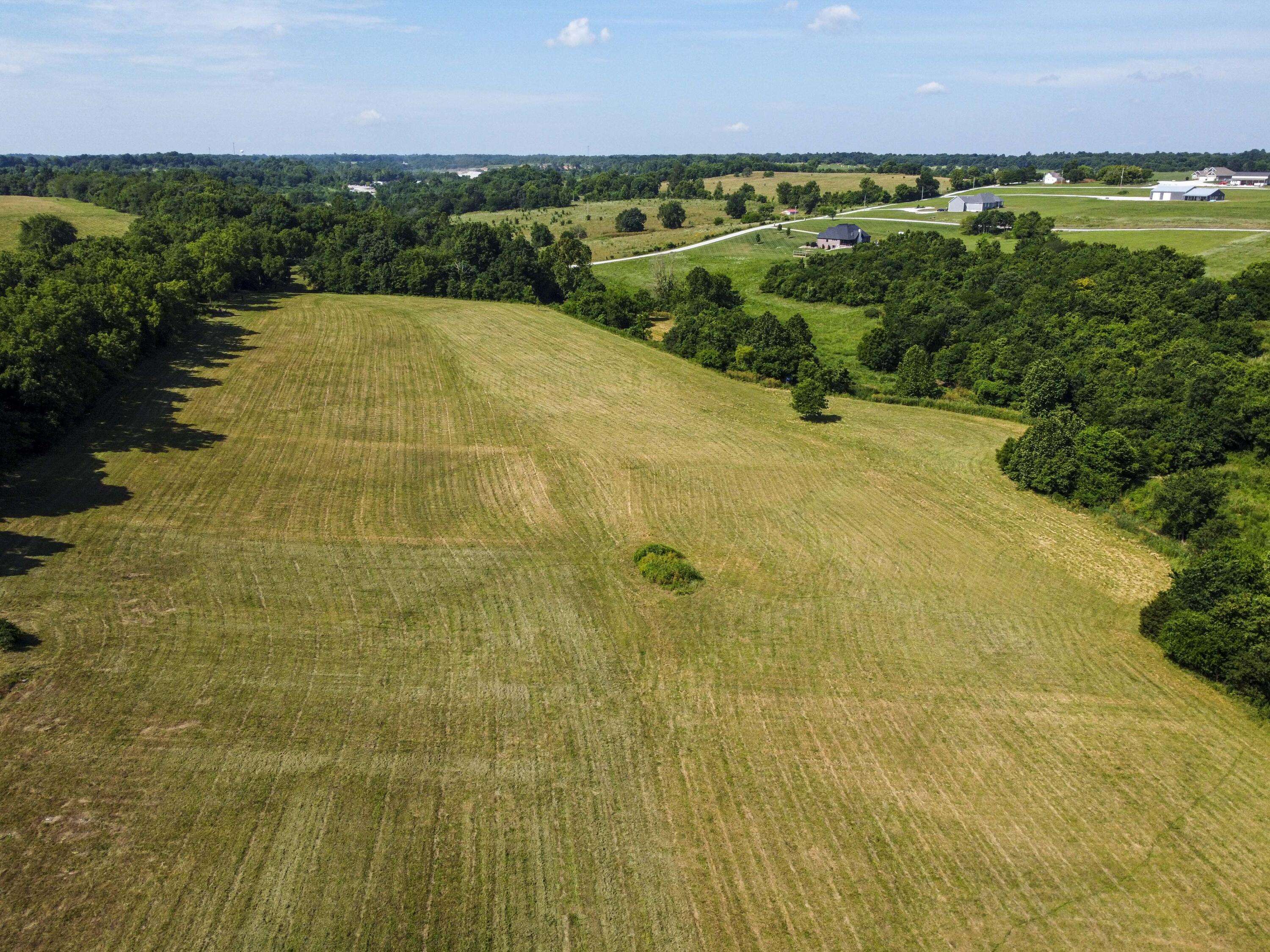 Billings, MO 65610,0000 Honeysuckle RD