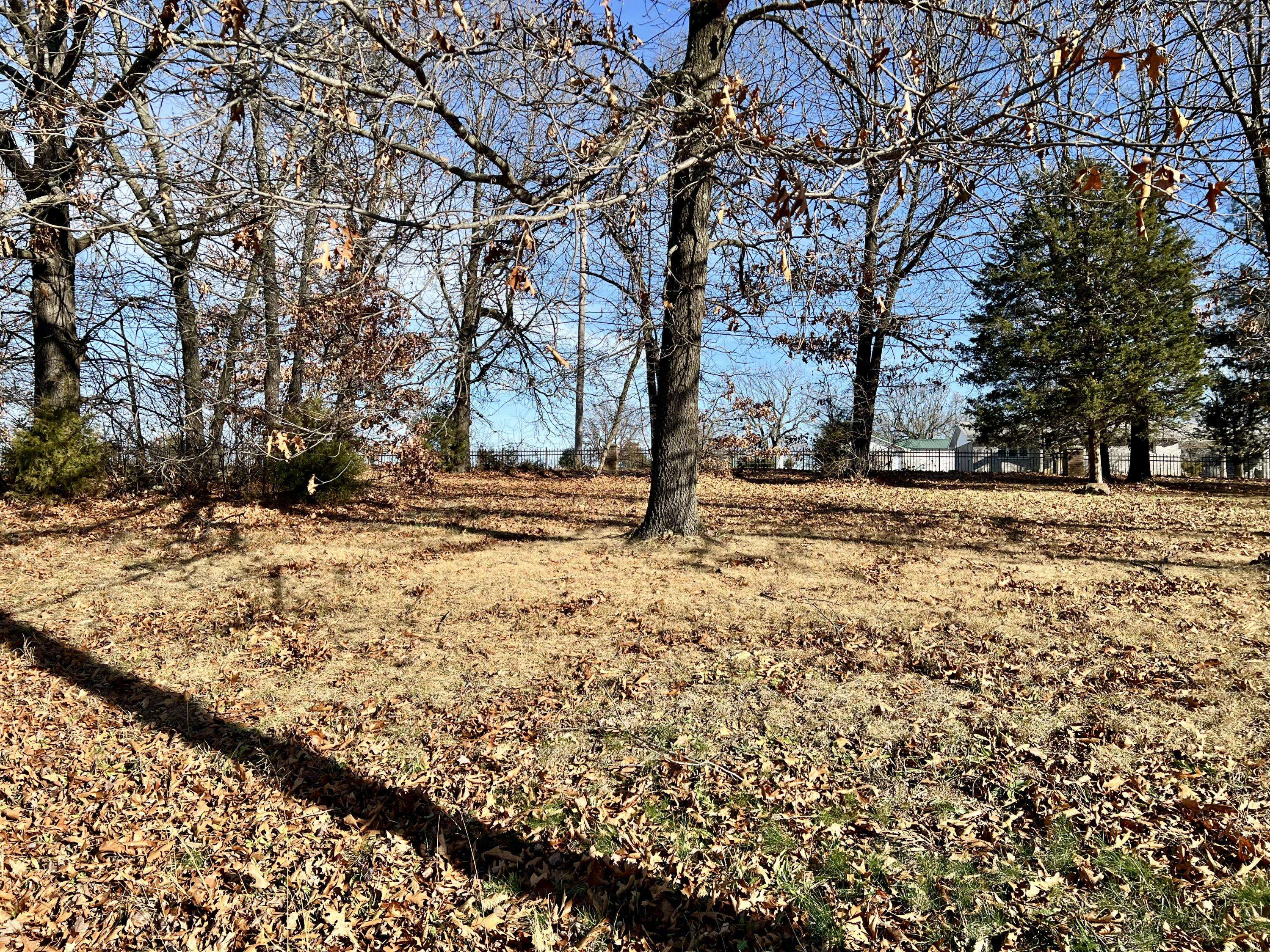 Monett, MO 65708,000 Winchester DR