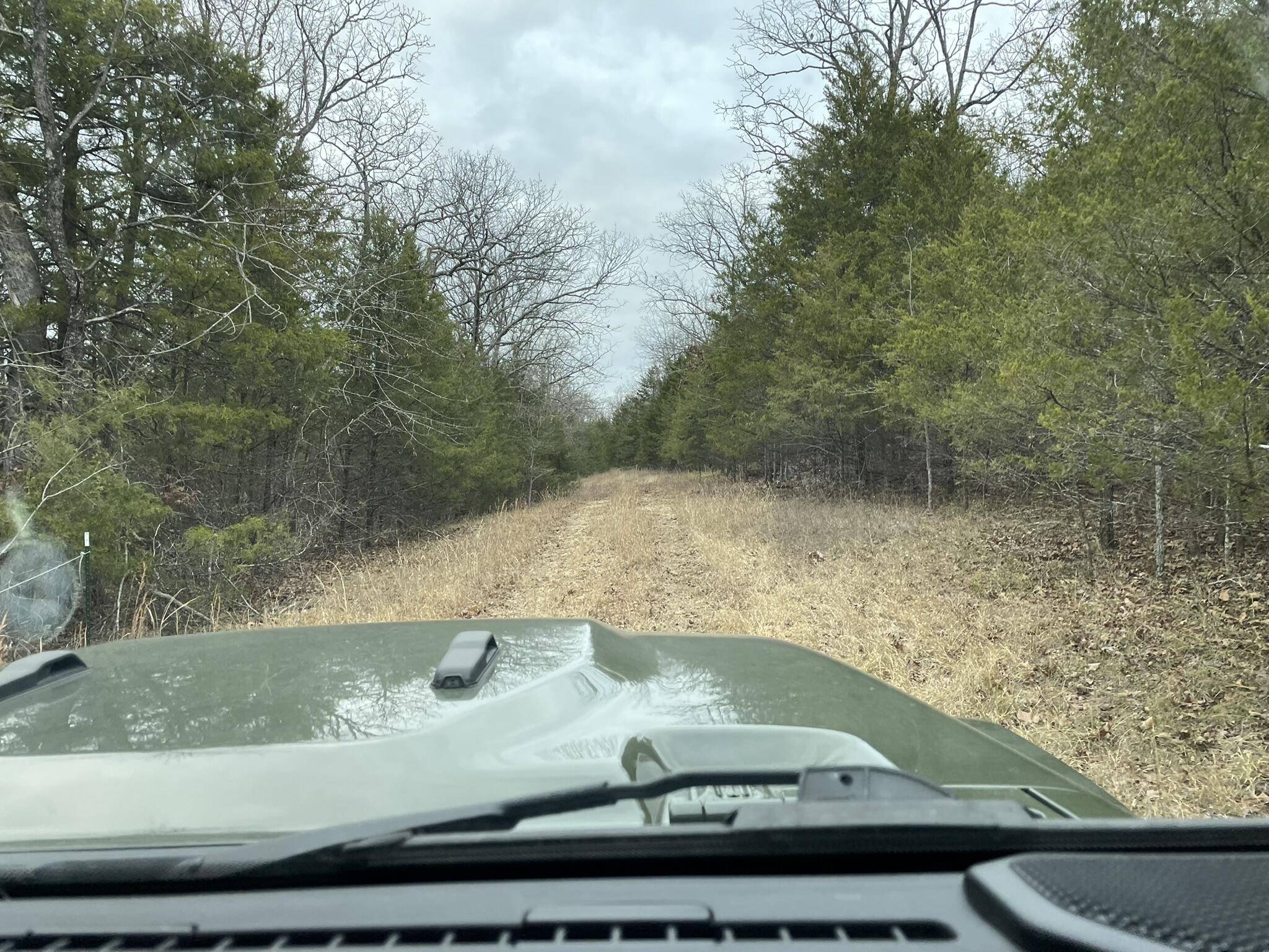 Forsyth, MO 65653,000 Rockhill DR