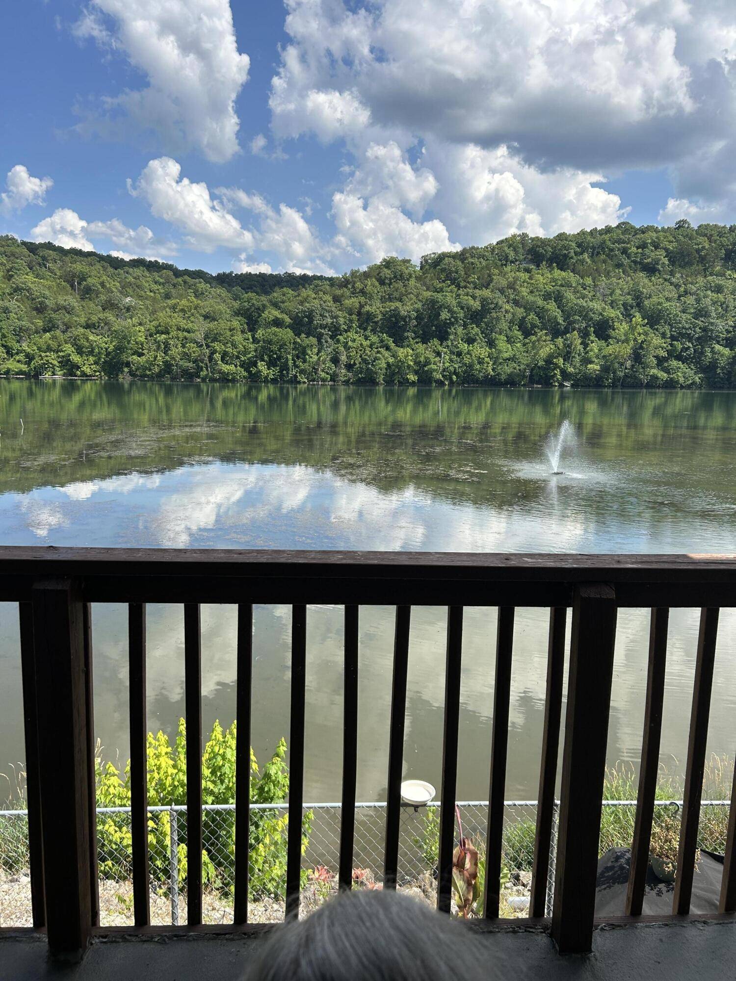 Rockaway Beach, MO 65740,2529 State Highway  176 #5