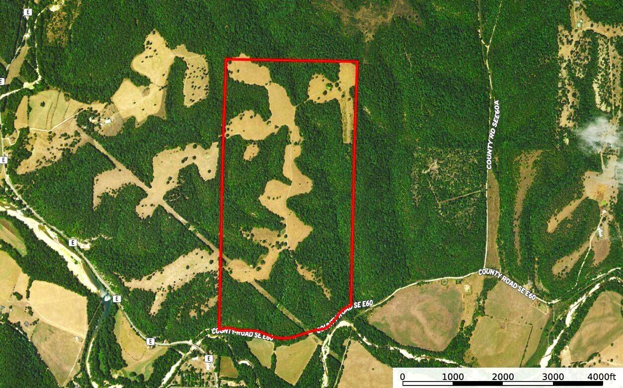 Powell, MO 65730,258 Acres Mikes Creek RD