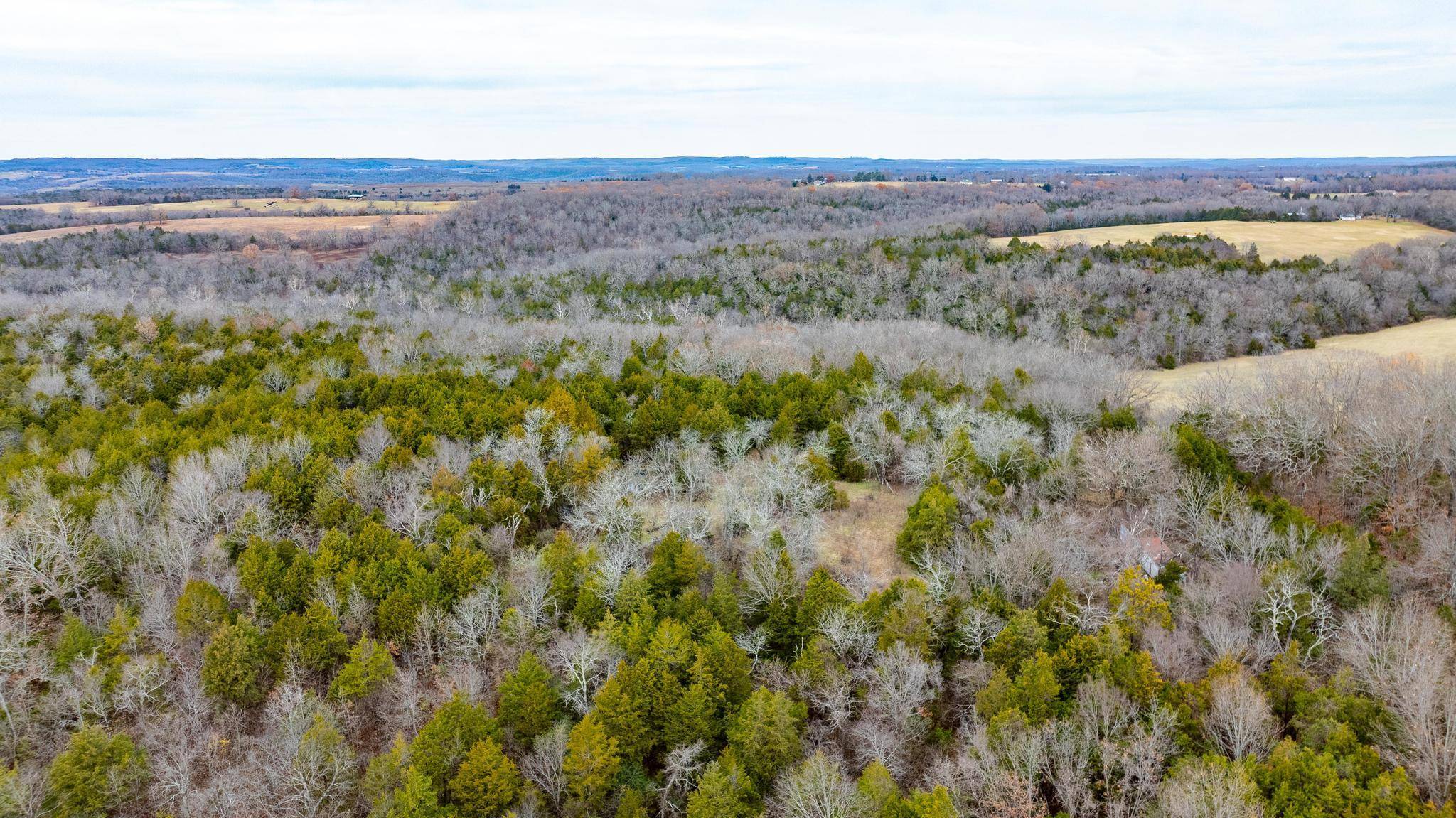 Taneyville, MO 65759,Tbd Charles ST