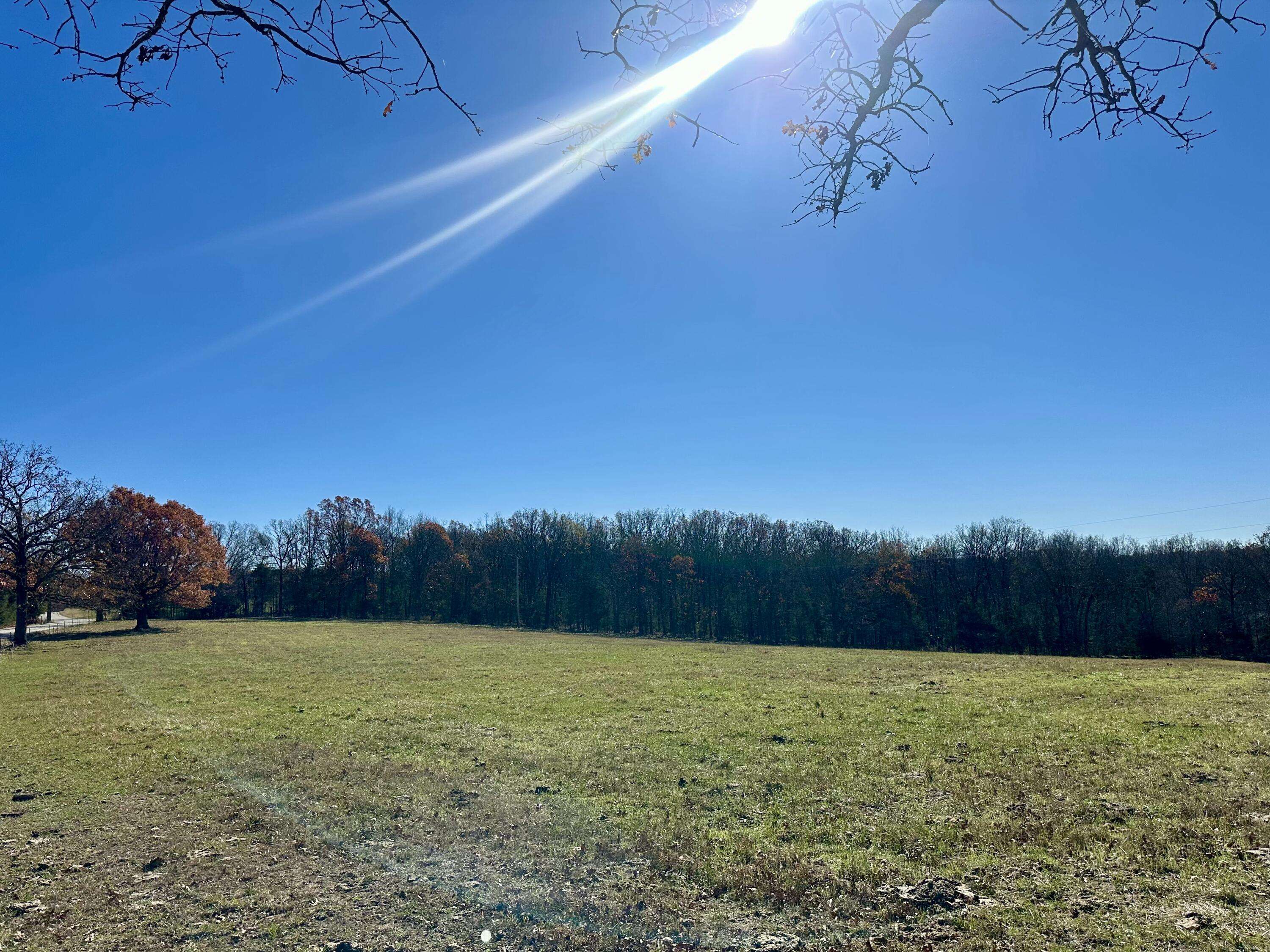 Marshfield, MO 65706,000 Tower Rd