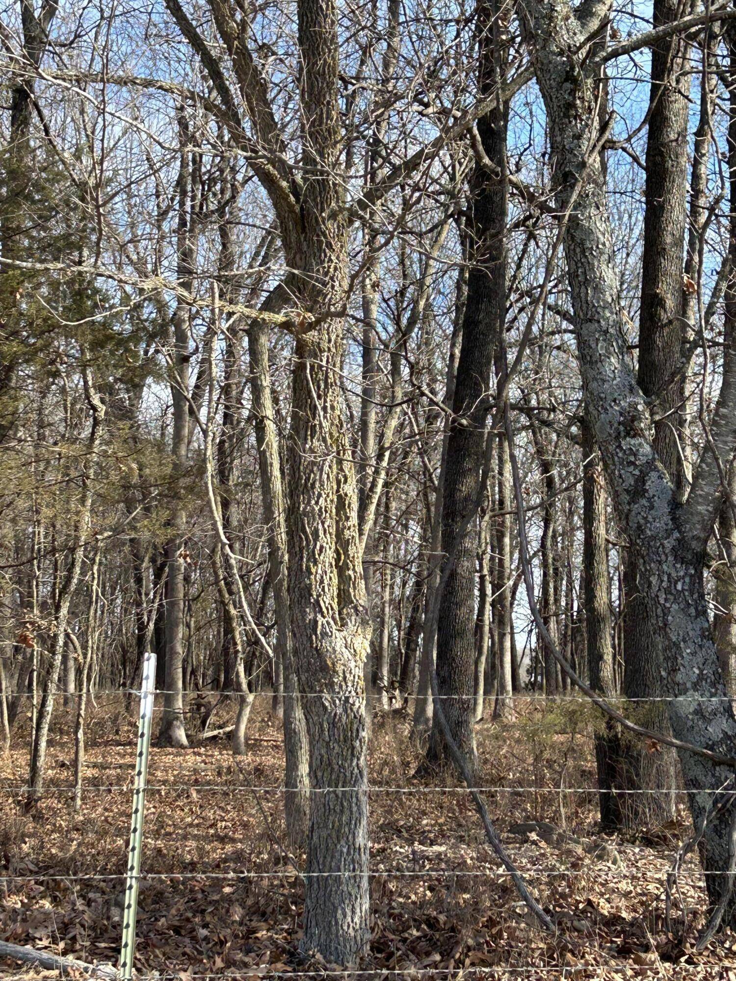 Springfield, MO 65803,000 N Farm Road 177