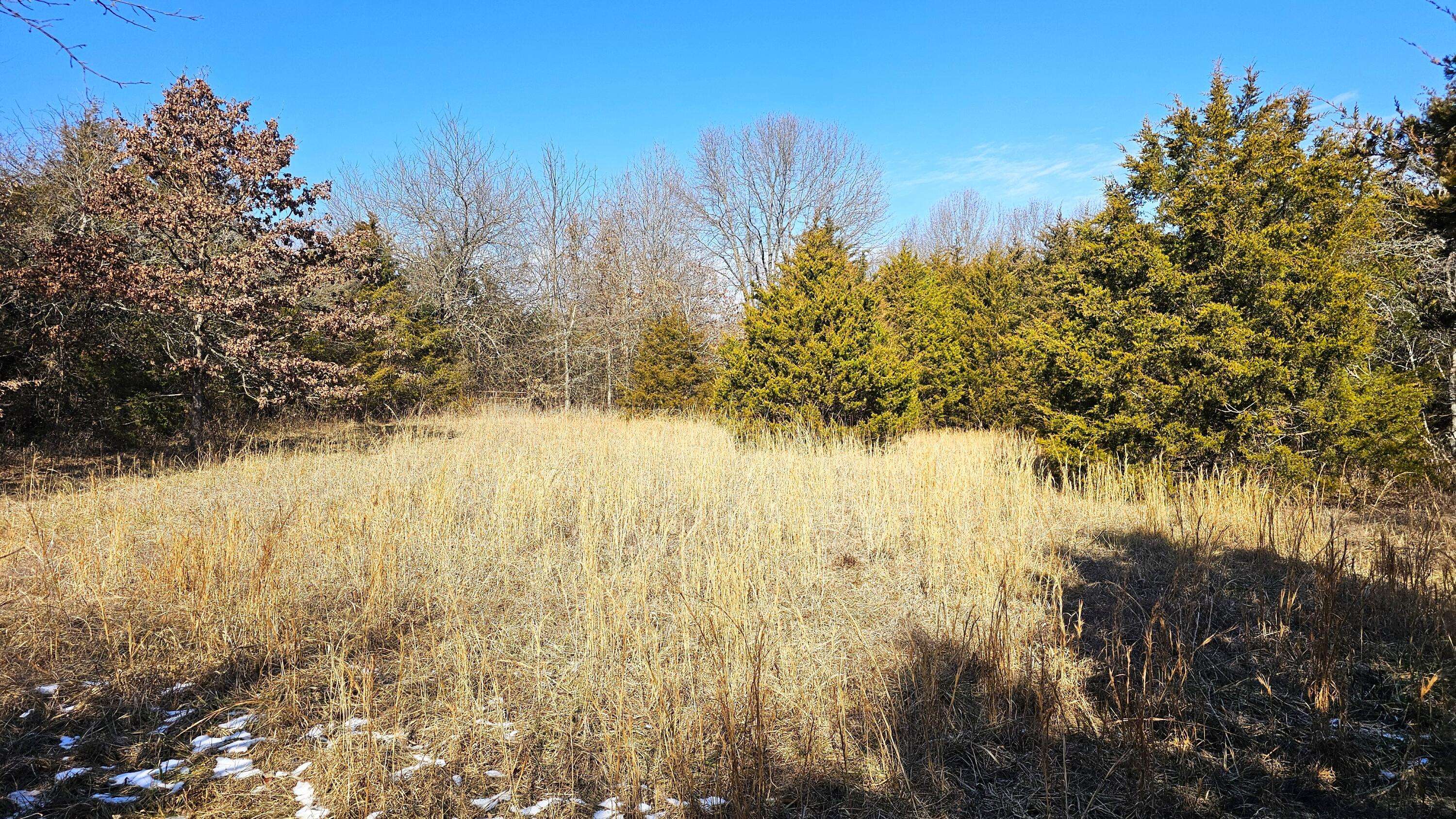 Humansville, MO 65674,000 South 25th Road