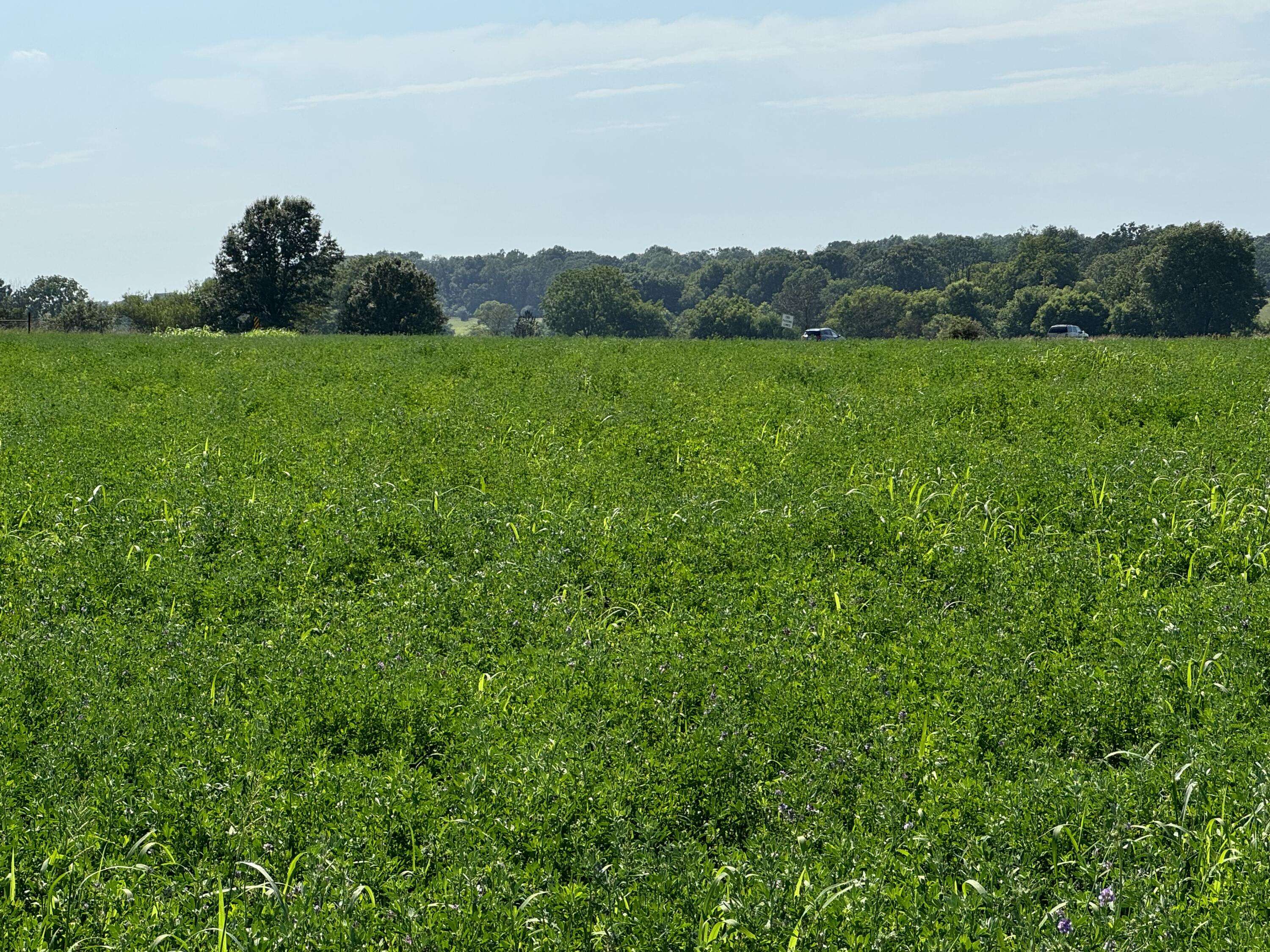 West Plains, MO 65775,9512 Us Highway 63