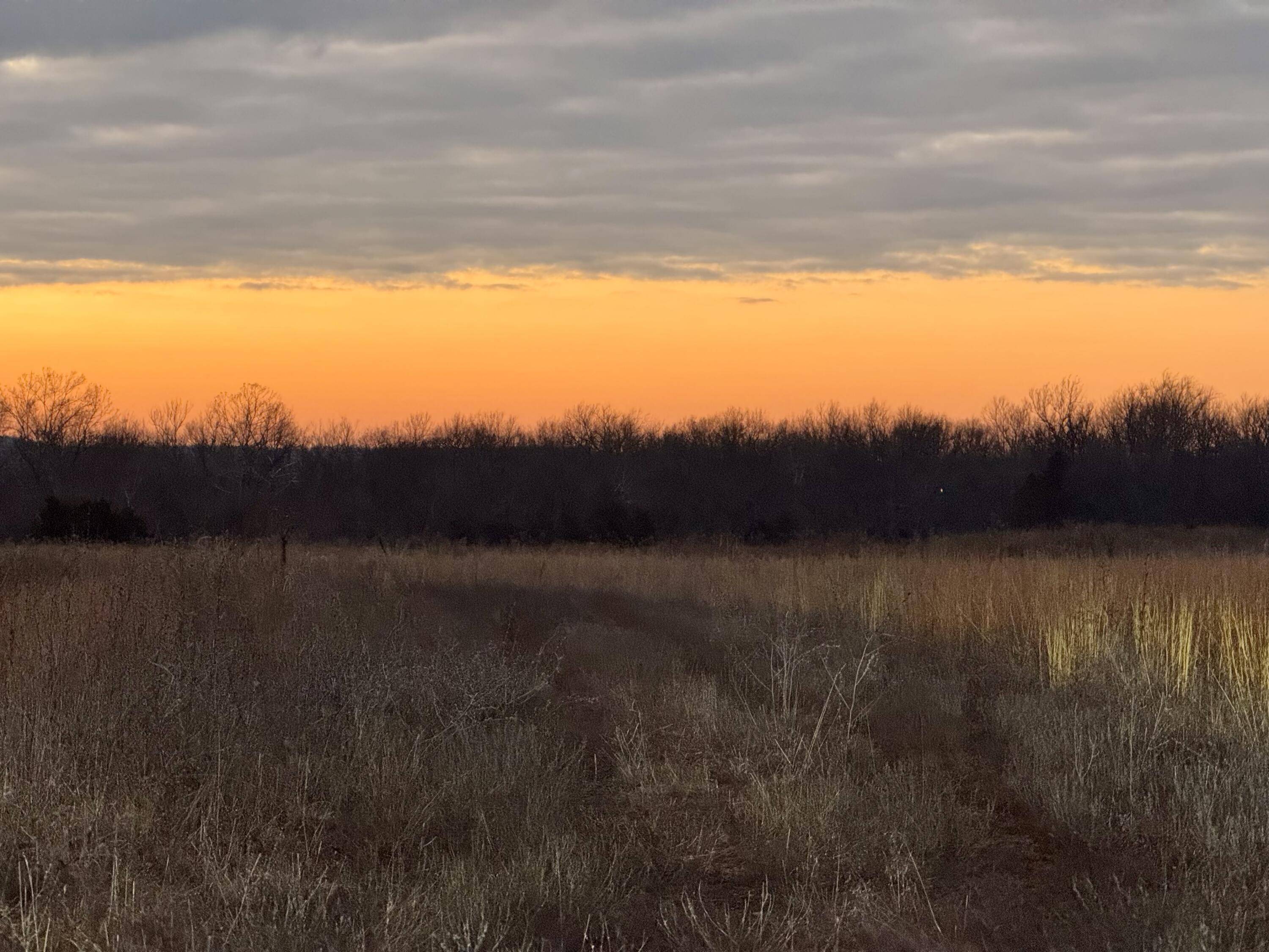 Strafford, MO 65757,000 N Farm Rd 215