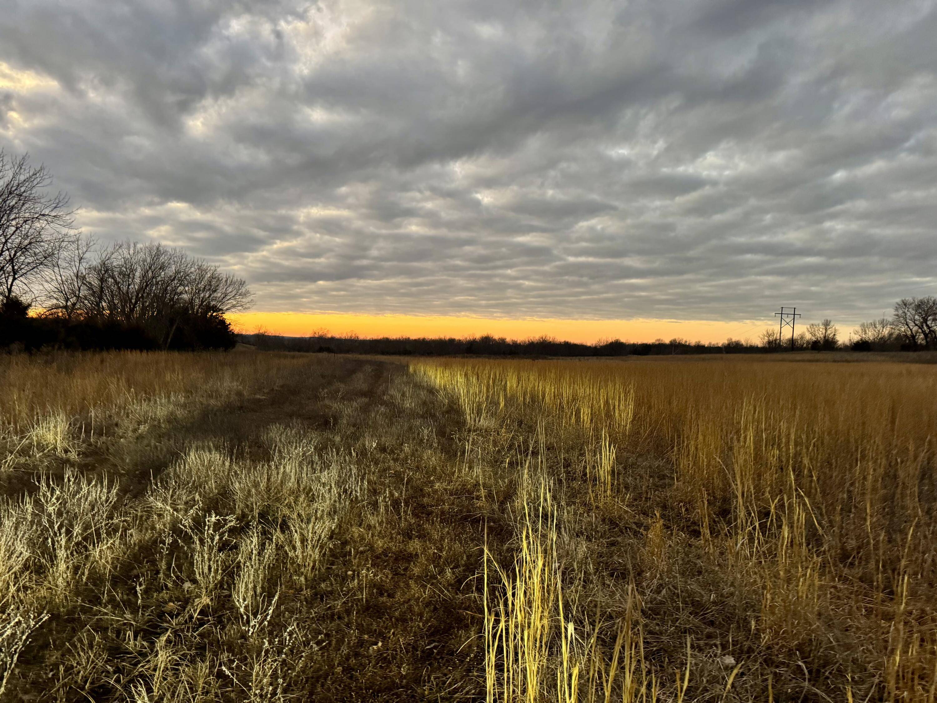 Strafford, MO 65757,000 N Farm Rd 215