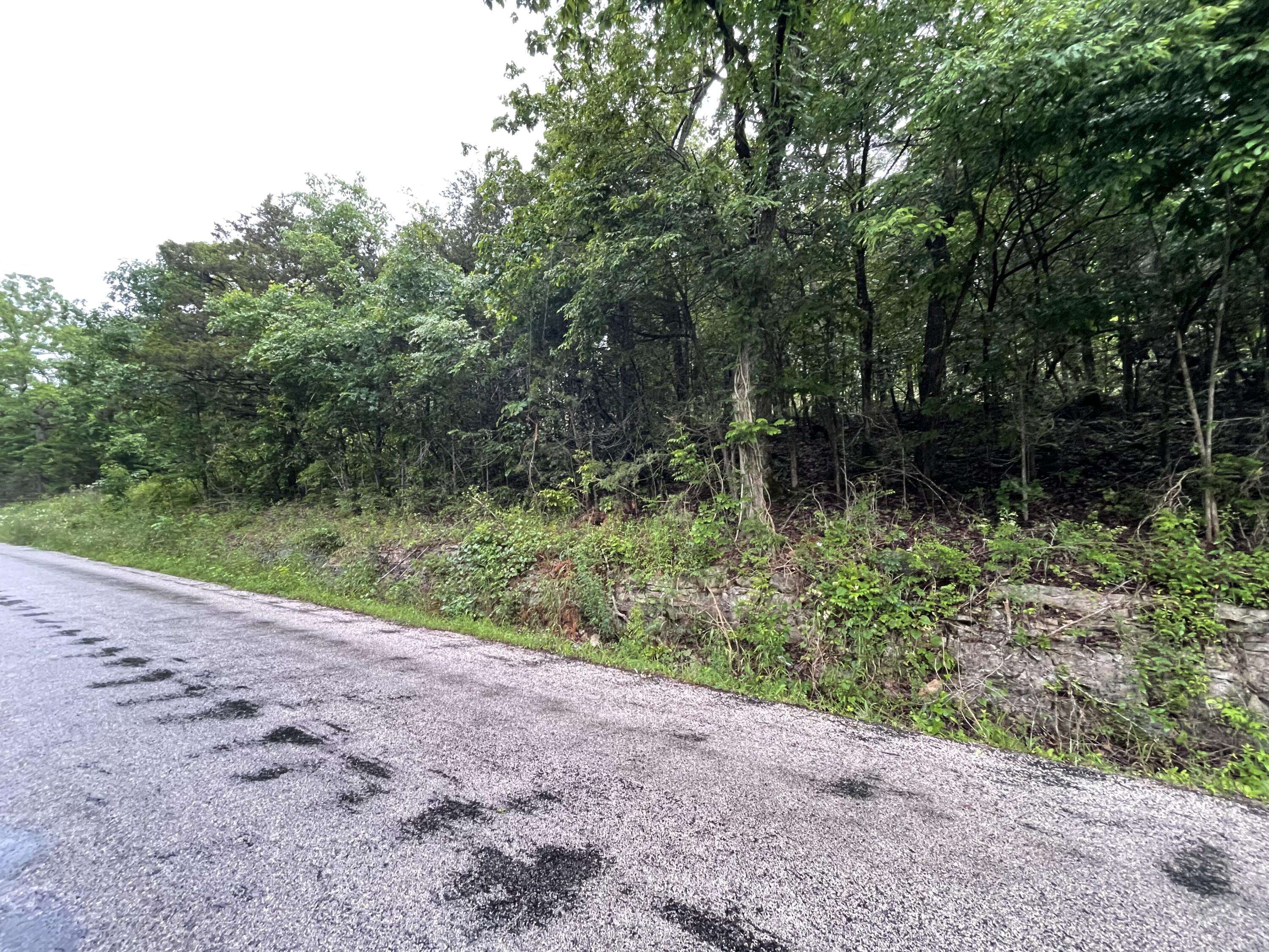 Rockaway Beach, MO 65740,000 Honey LN