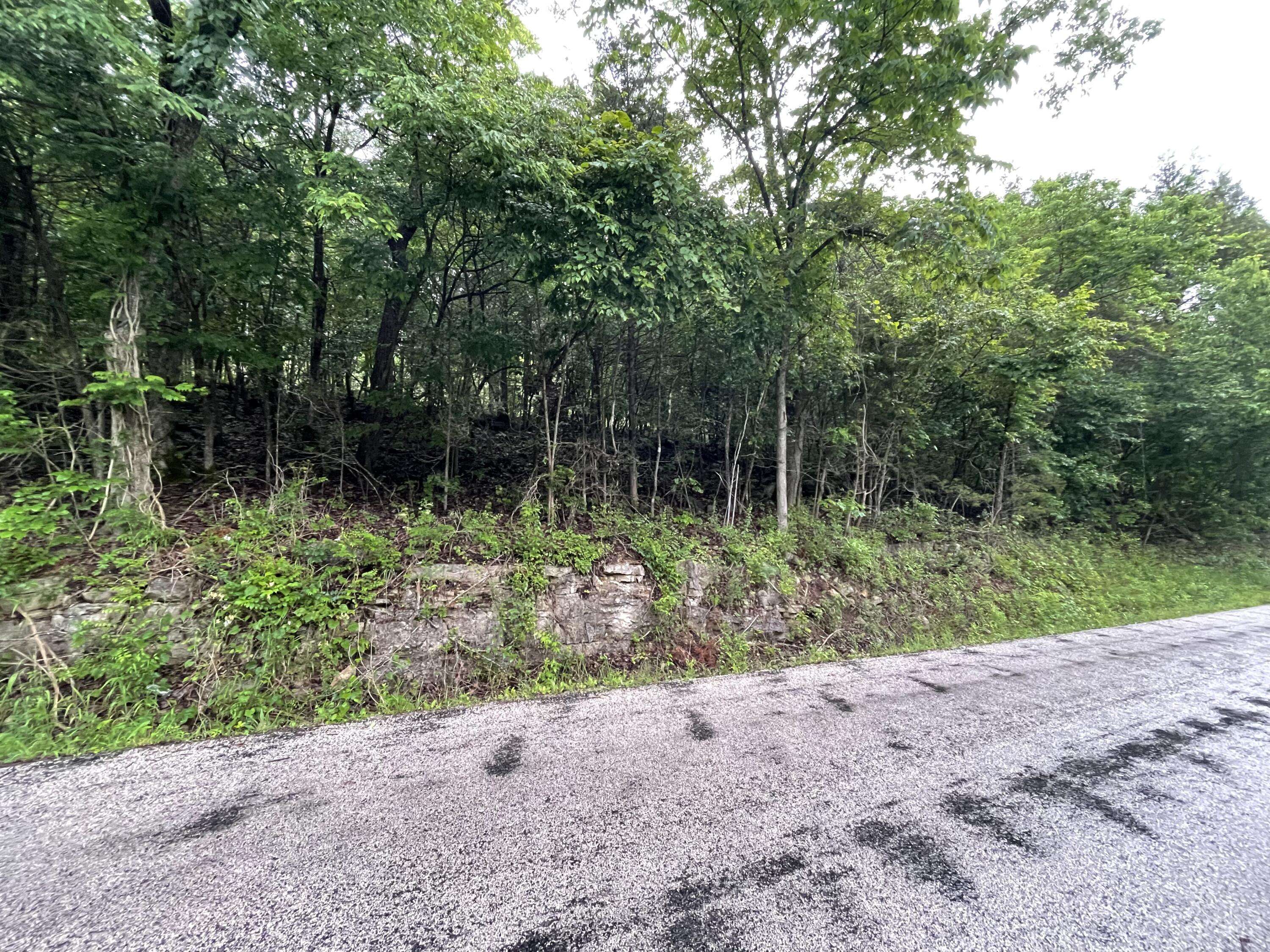 Rockaway Beach, MO 65740,000 Honey LN
