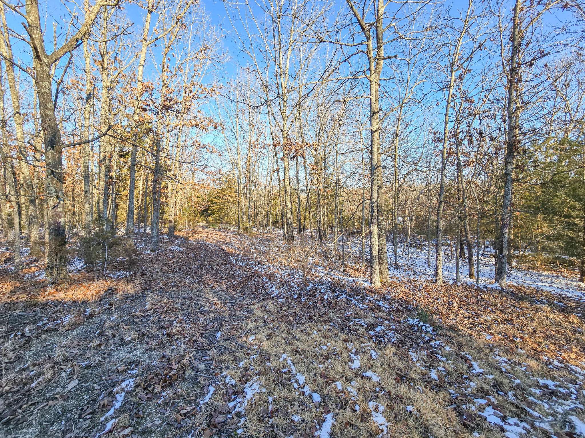 Urbana, MO 65767,000 Maple Lane