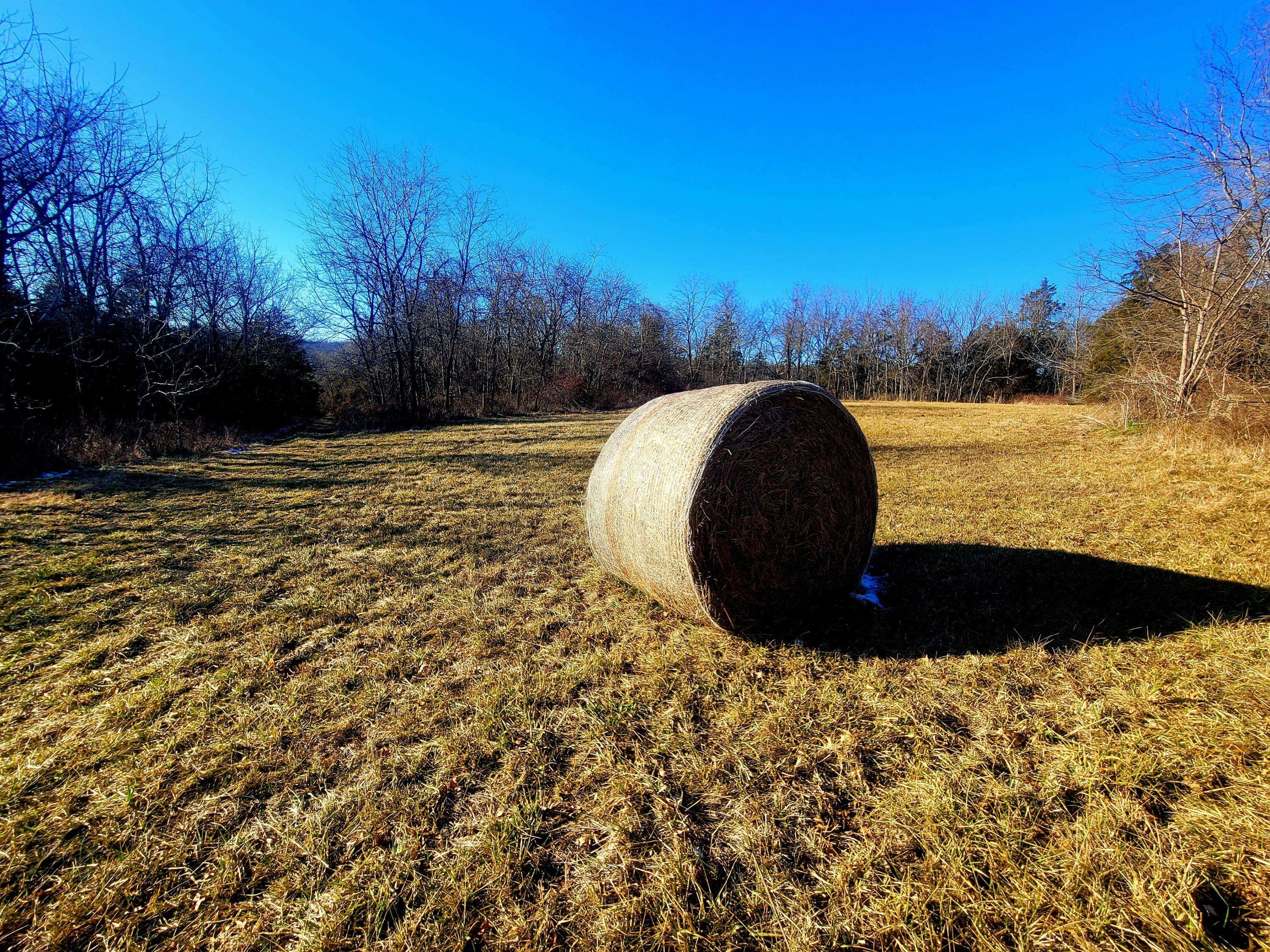 Fordland, MO 65652,000 State Highway Kk