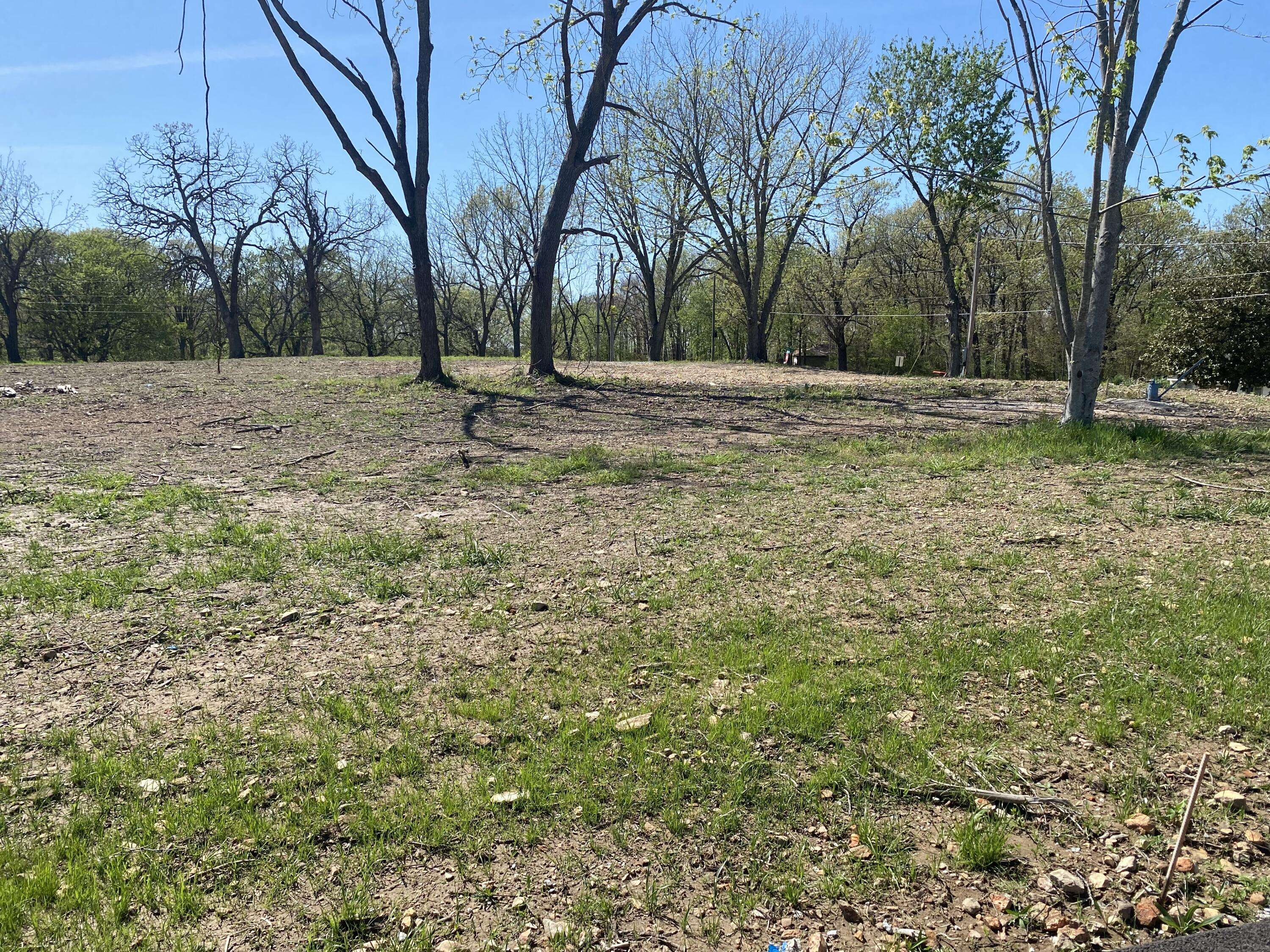 Ozark, MO 65721,120 Plumtree DR