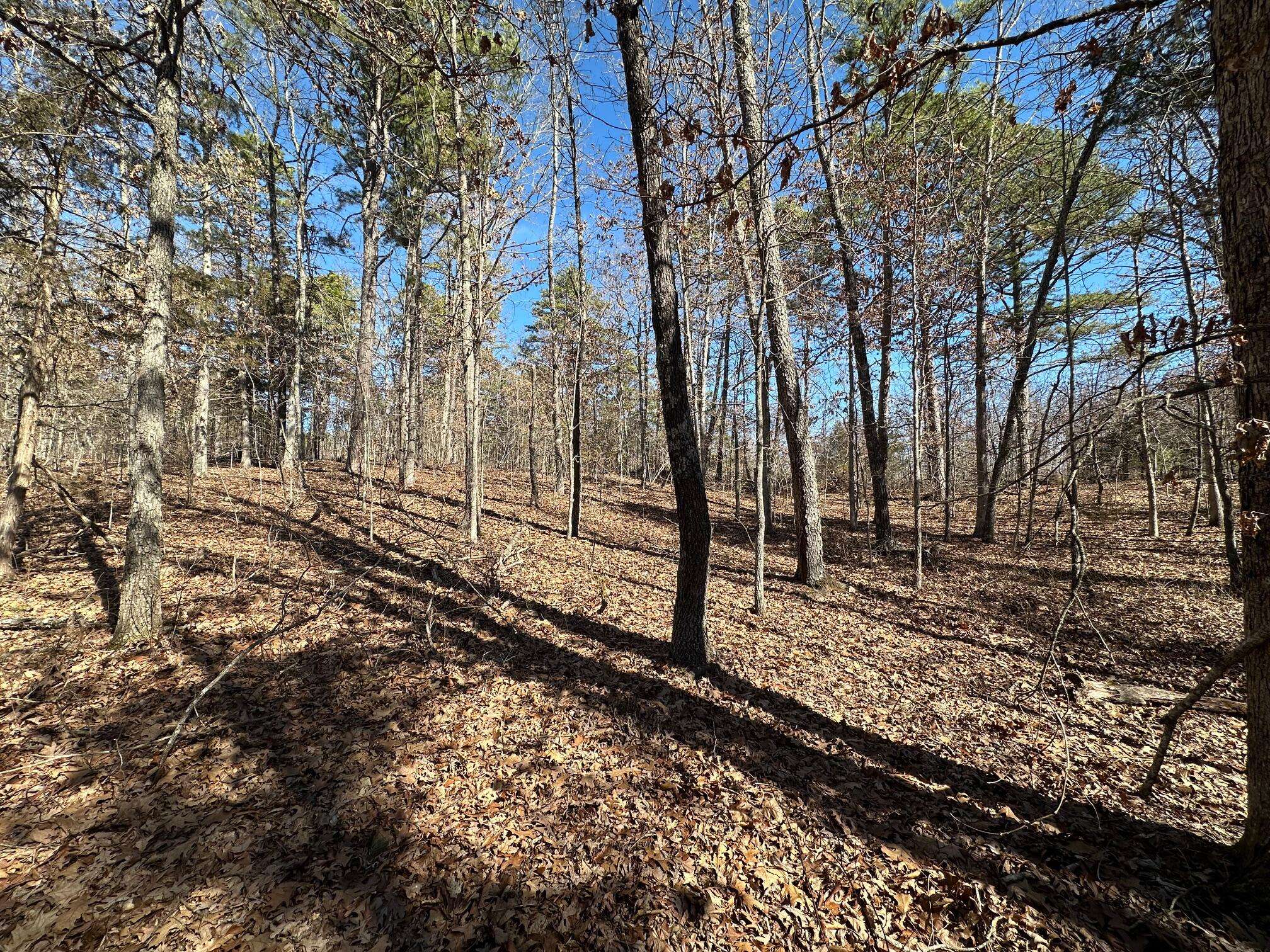 Licking, MO 65542,000 Whispering Pines Lane
