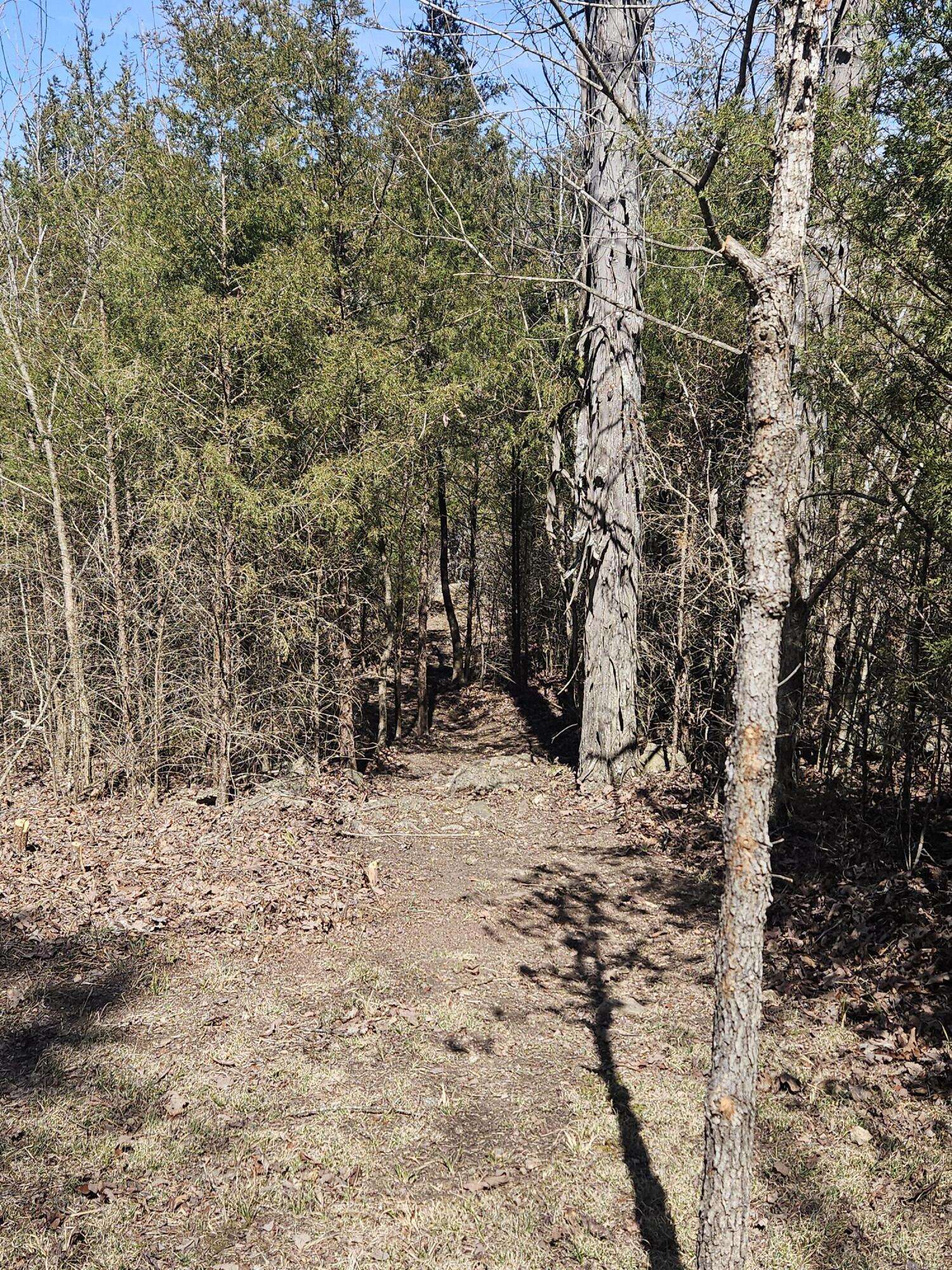 Galena, MO 65656,Lot 8 Everest RD