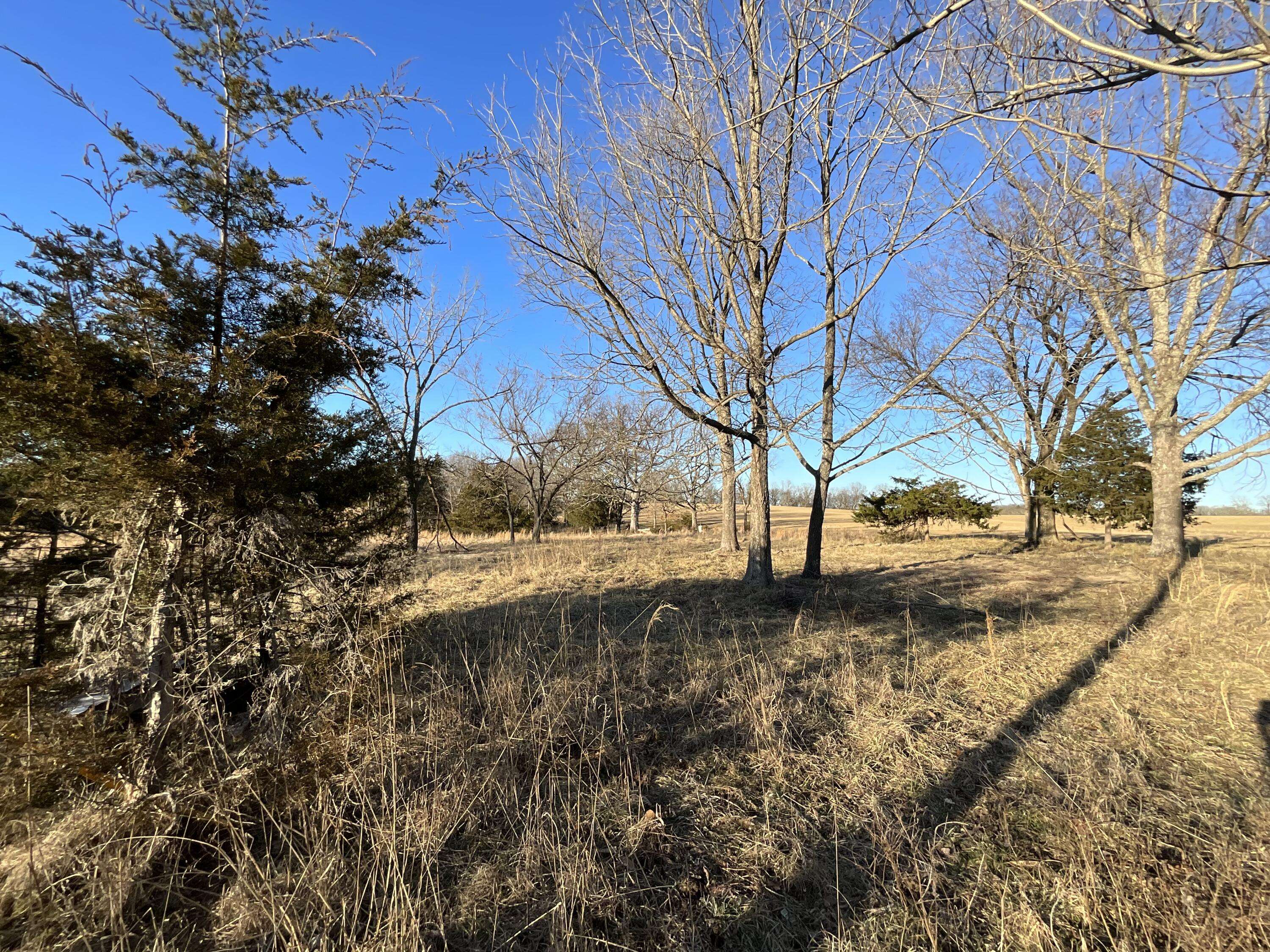 Alton, MO 65606,000 County Road 413