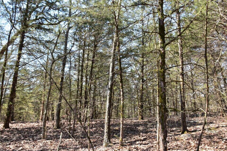 Highlandville, MO 65669,000 Us Highway 65