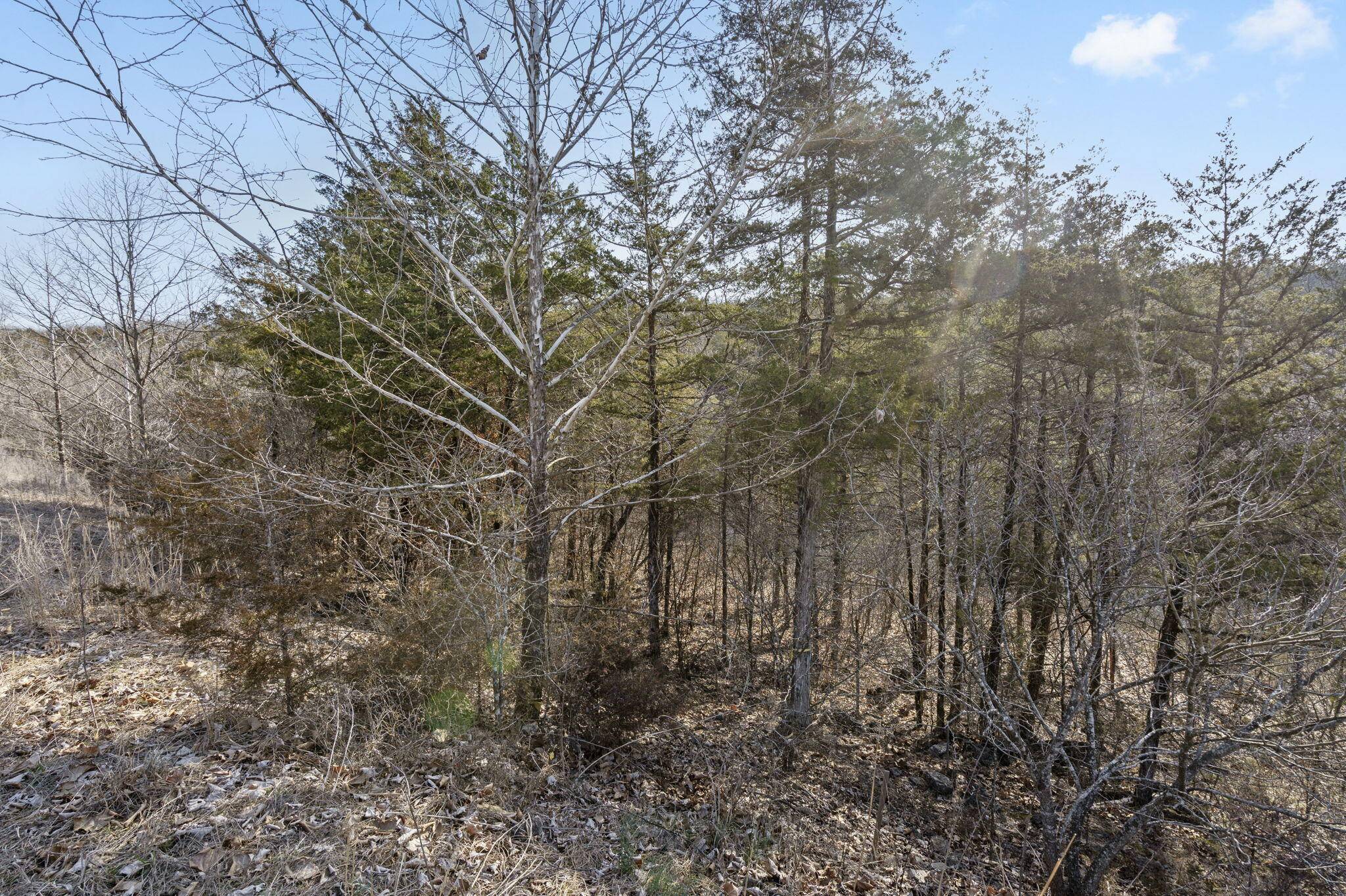 Branson, MO 65616,142/143 Country Ridge WAY