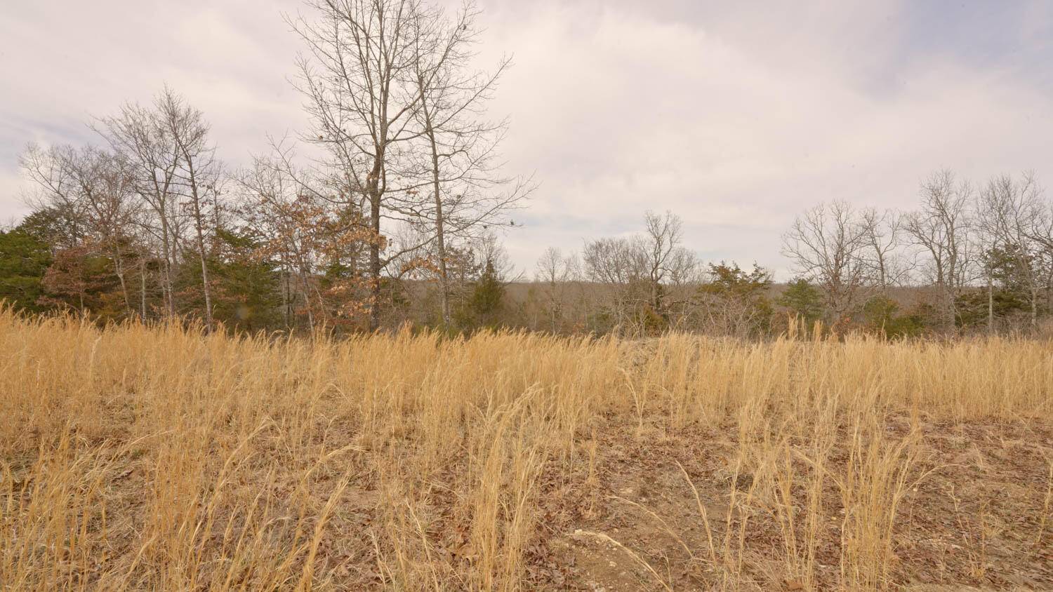 Gepp, AR 72538,Lot 22 Oakridge Drive