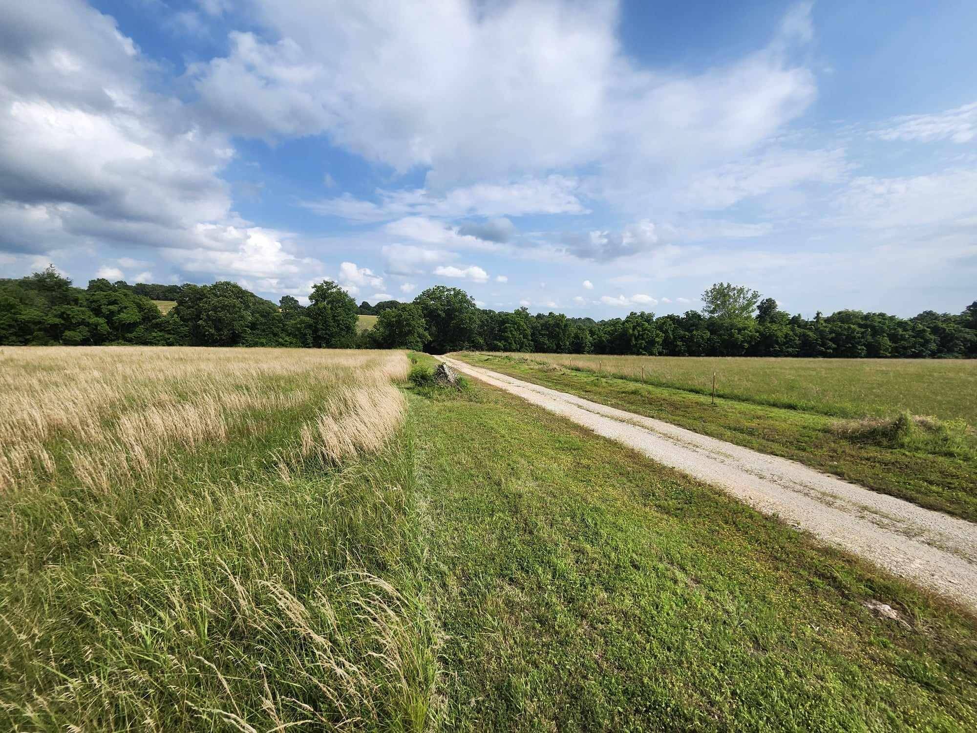 Graff, MO 65660,6601 County Line Road , 200 Acres