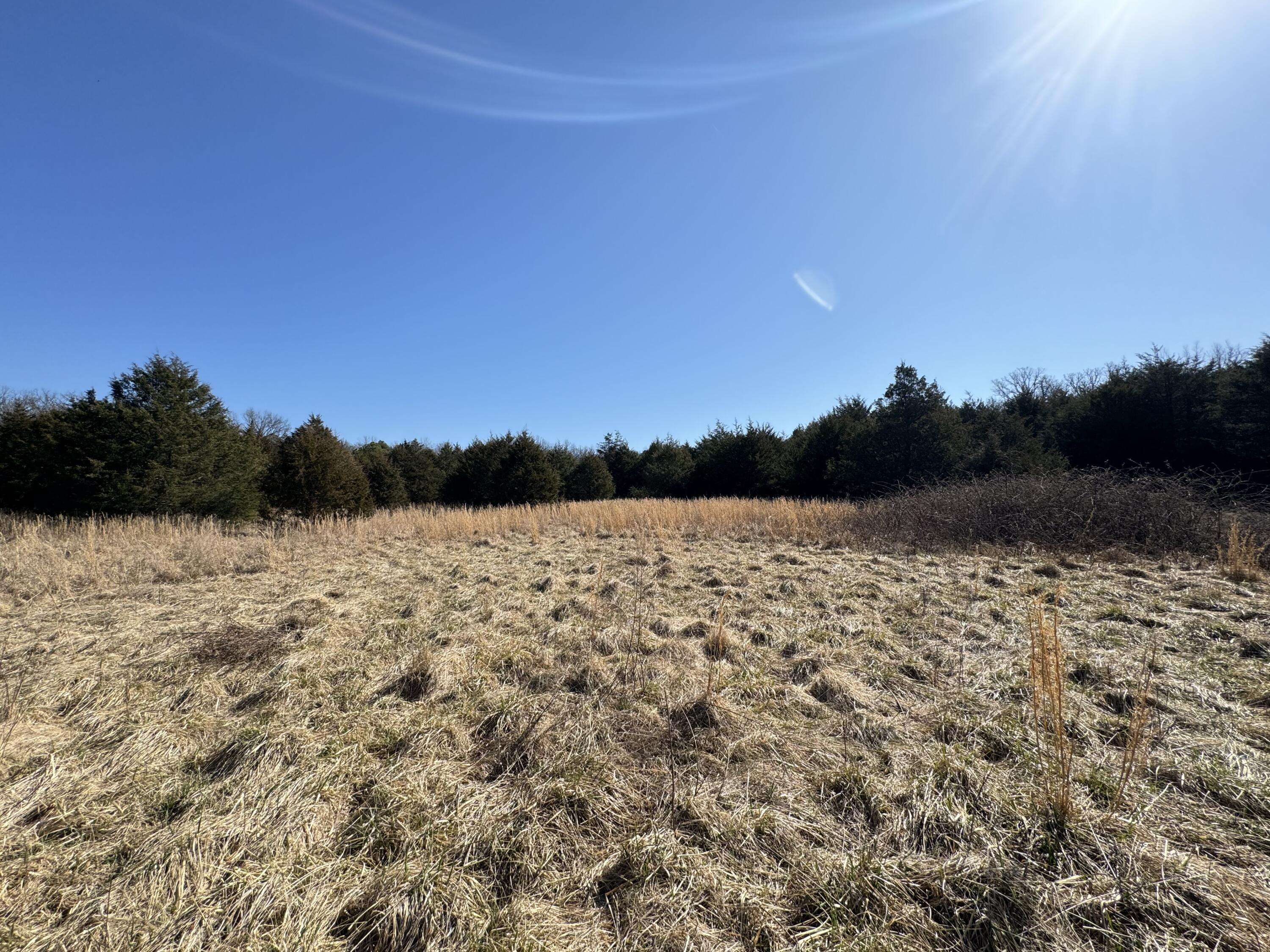 Drury, MO 65638,1158 St Hwy Ac
