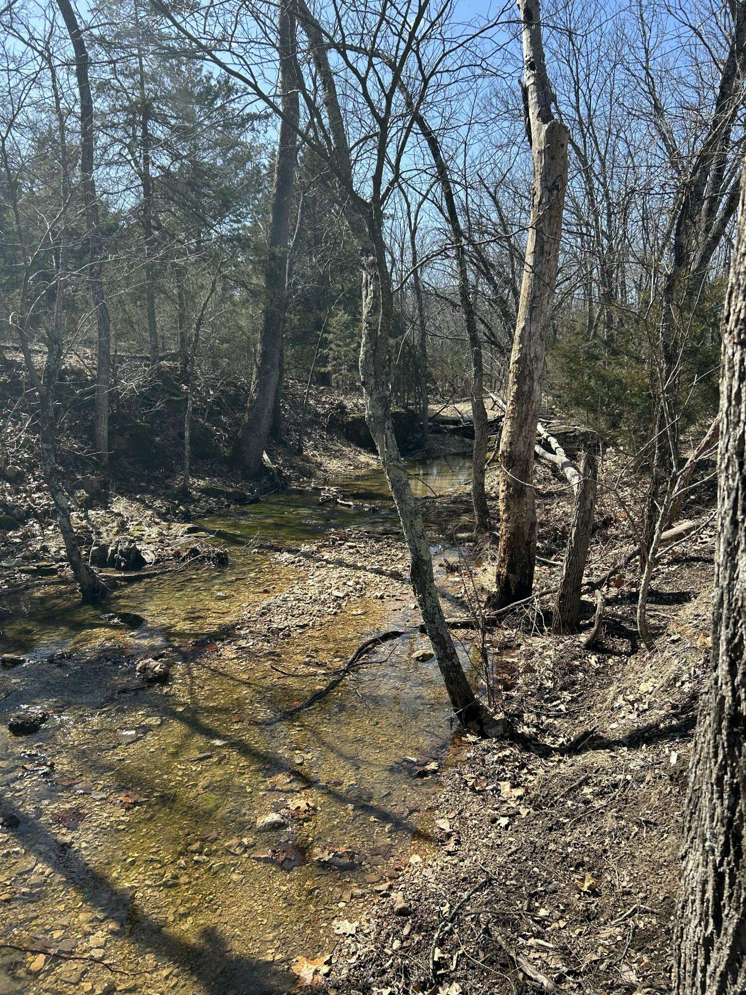 Niangua, MO 65713,0000 Hwy Mm