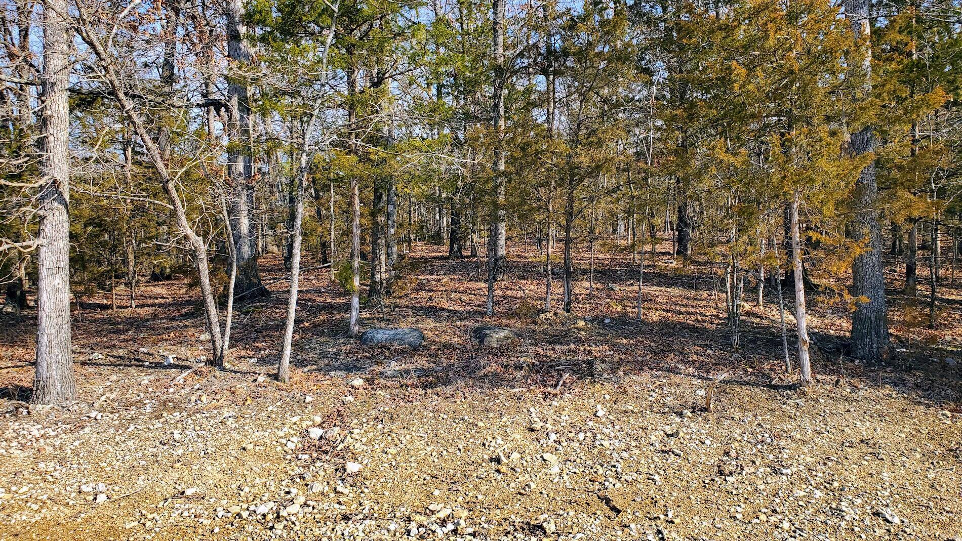 Kimberling City, MO 65686,000 Lot 98 Summer Breeze LN