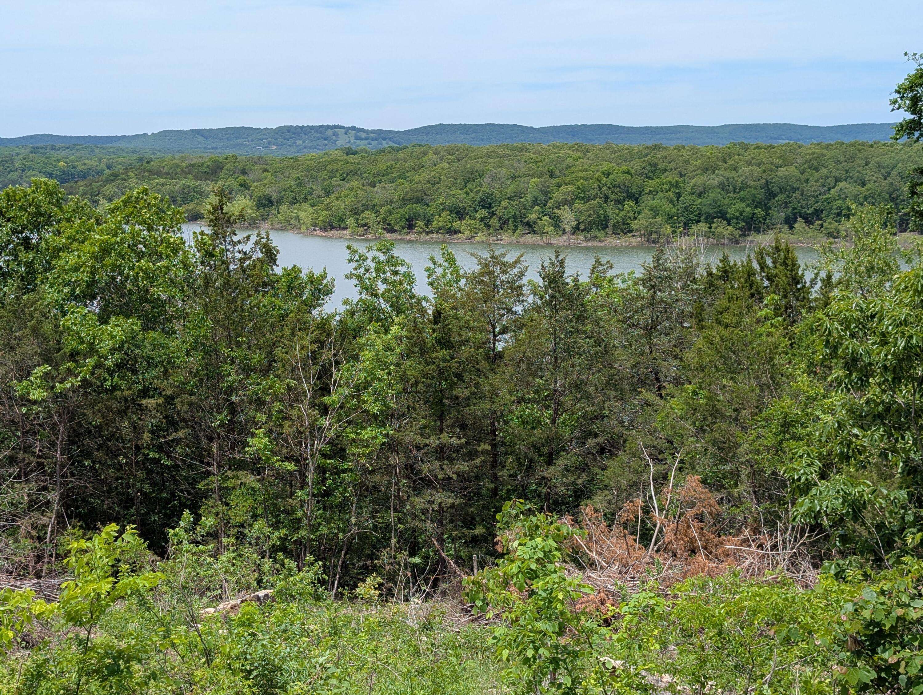 Shell Knob, MO 65747,000 Briarcliff DR