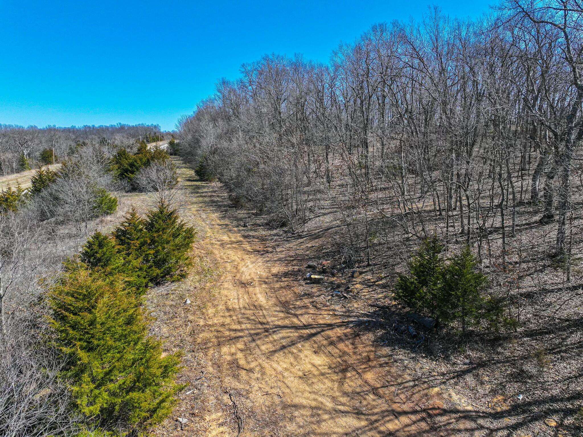 Collins, MO 64738,000 SE Highway 54 #Tract 1