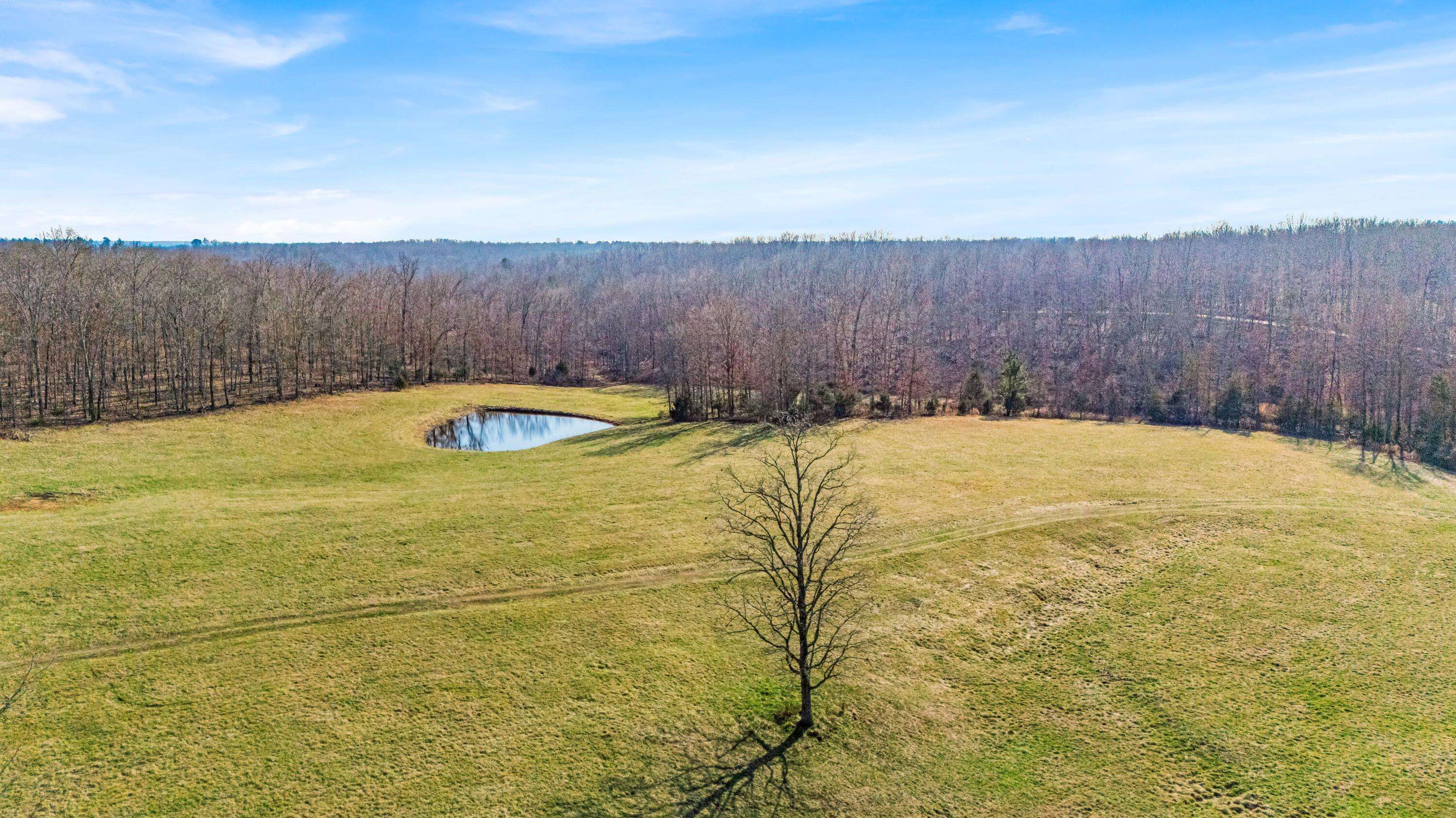 Peace Valley, MO 65788,5748 Co Rd 3850