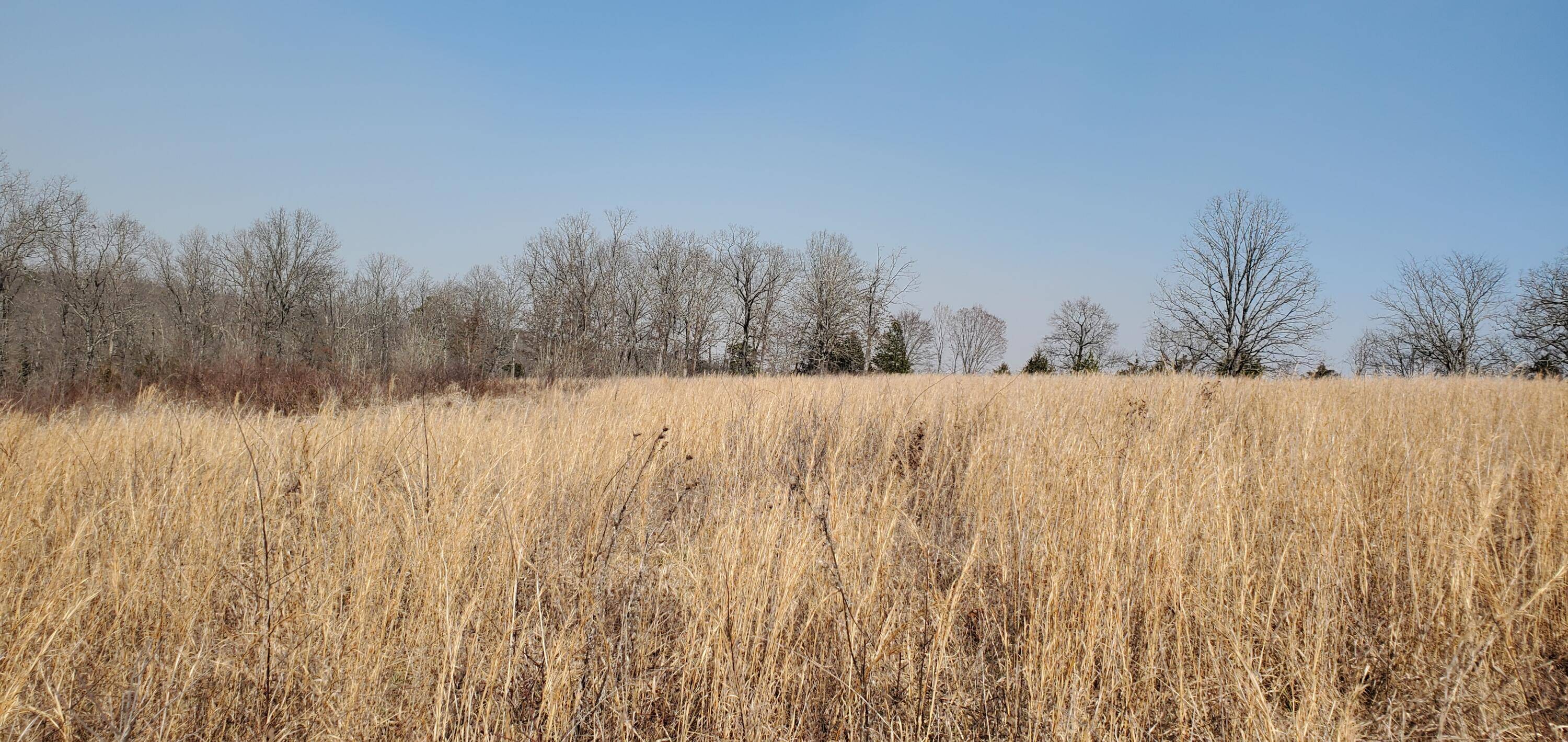 Tecumseh, MO 65760,000 County Road 330