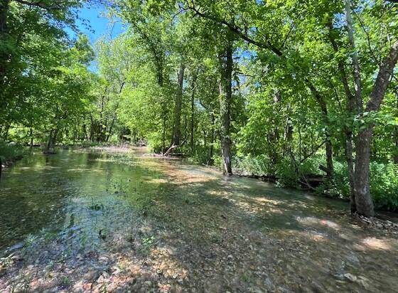 Neosho, MO 64850,21999 Parrot RD